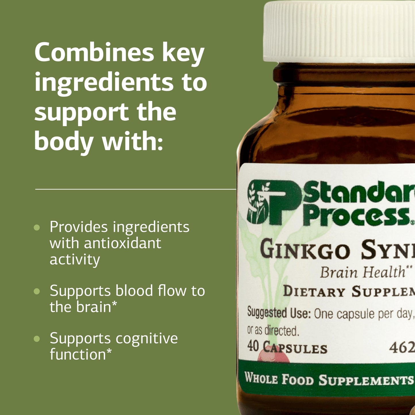 Standard Process Inc. Ginkgo Synergy 40 Capsules