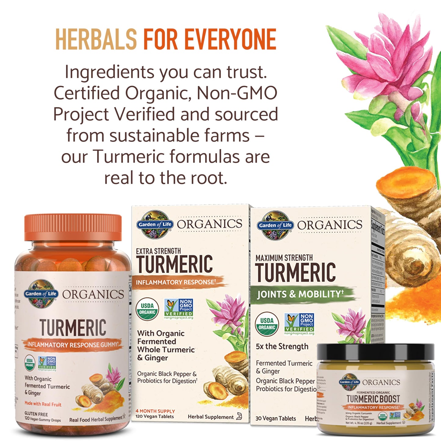 Garden of Life Organics Extra Strength Turmeric Inflammatory Response Vegetarian Tablets, 120 Count