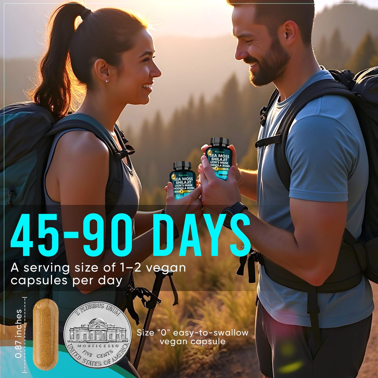 Adndale SeaMoss Shilajit Combo Capsule 90 Count