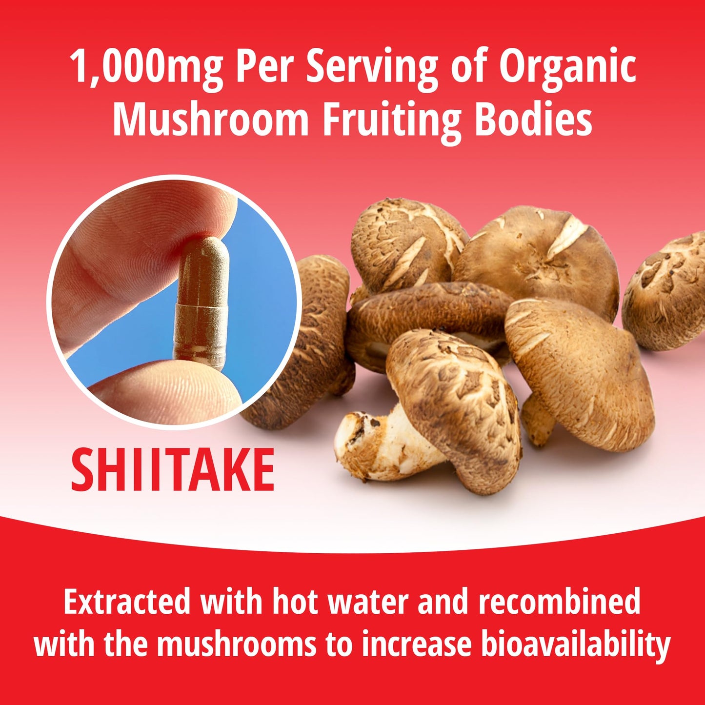 ENCAPSULATE Shiitake Capsule 1000mg – Premium Organic Fruiting Body 1:1 Extract – Adaptogen Mushroom Supplement for Heart Health, Vitality & Immune Support – Lab Tested, Vegan & Non-GMO, 60 Count