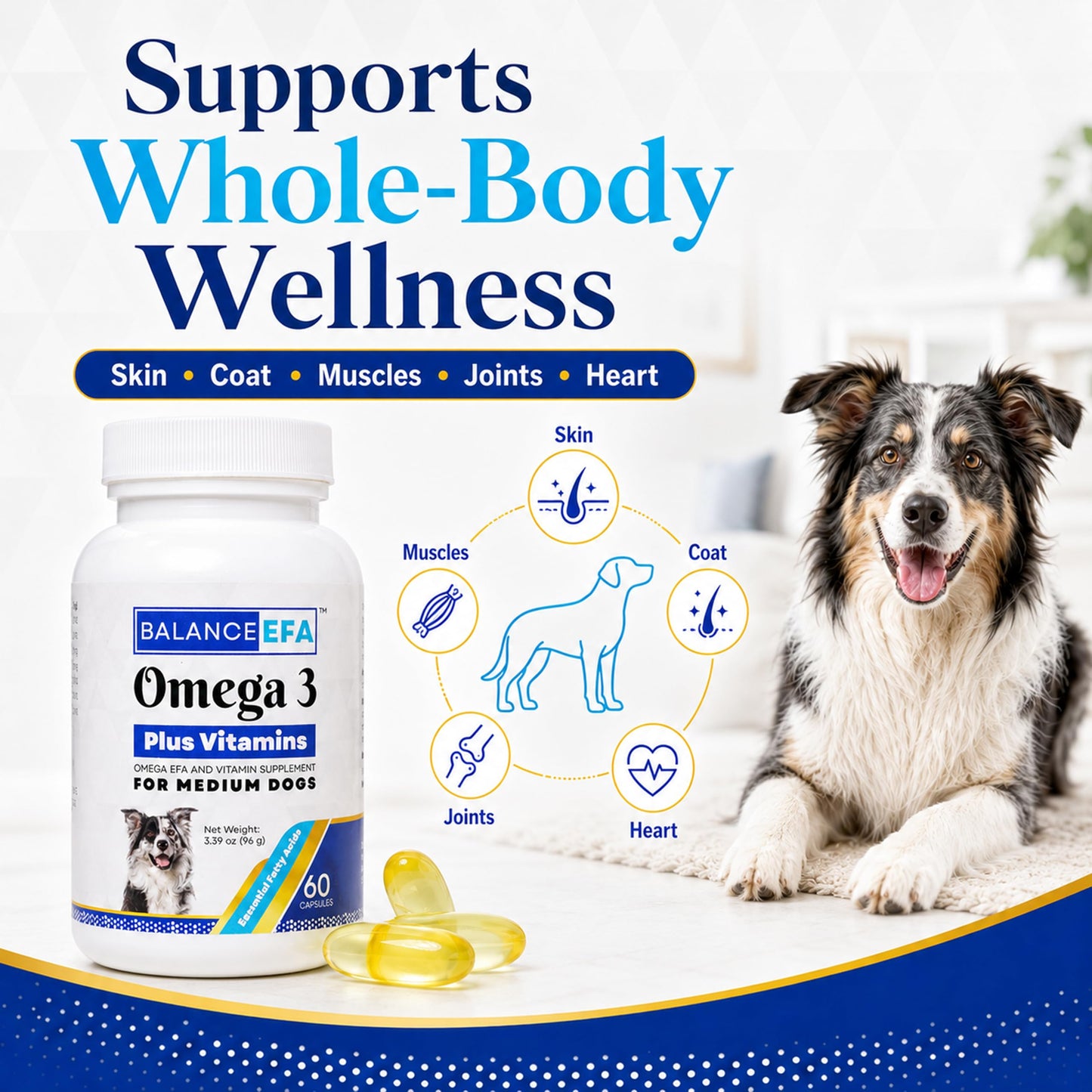 Mizner Bioscience BalanceEFA Omega-3 Soft Gel Capsules for Medium Dogs, 60 Capsules