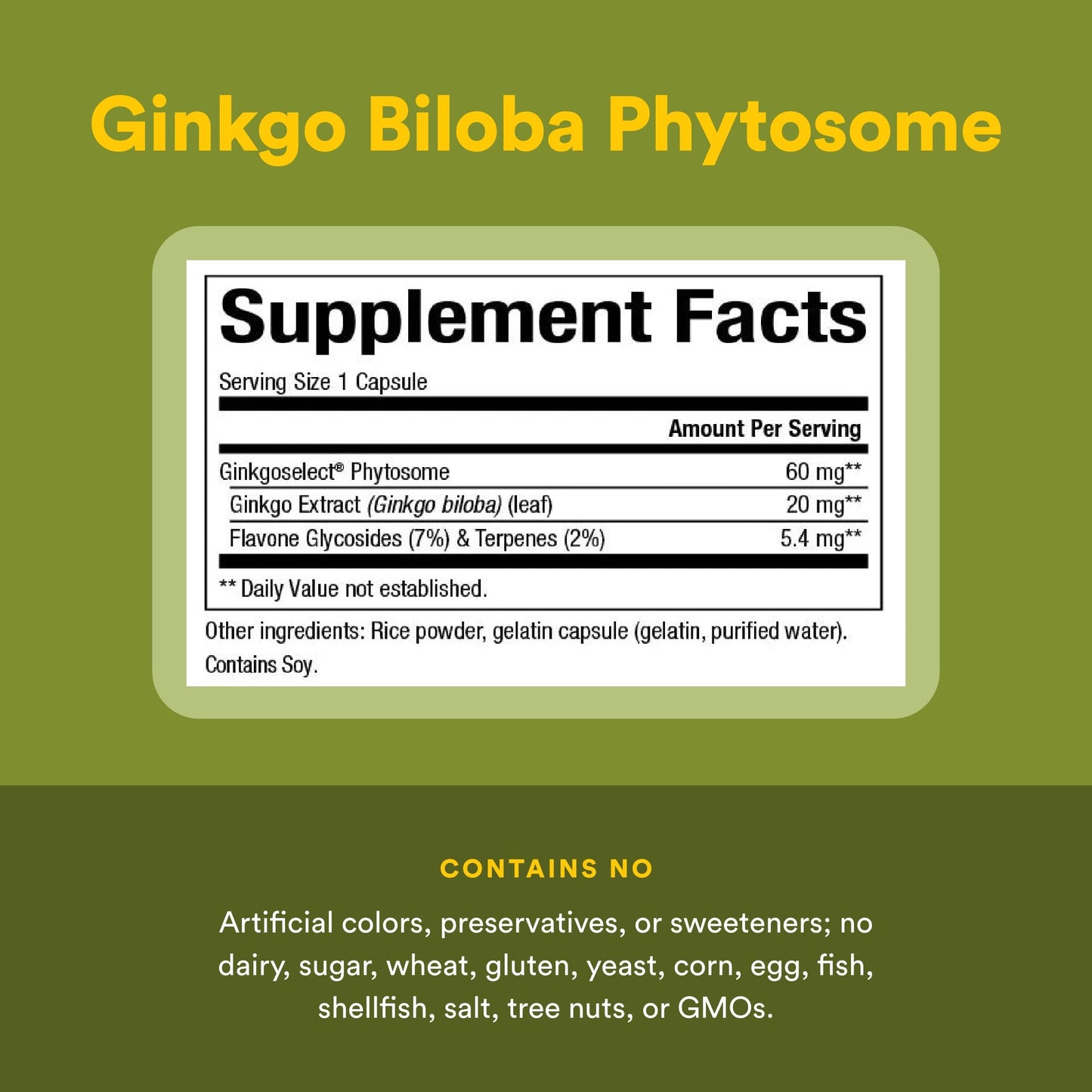Natural Factors Ginkgo Biloba Phytosome Capsules, 60 Capsules