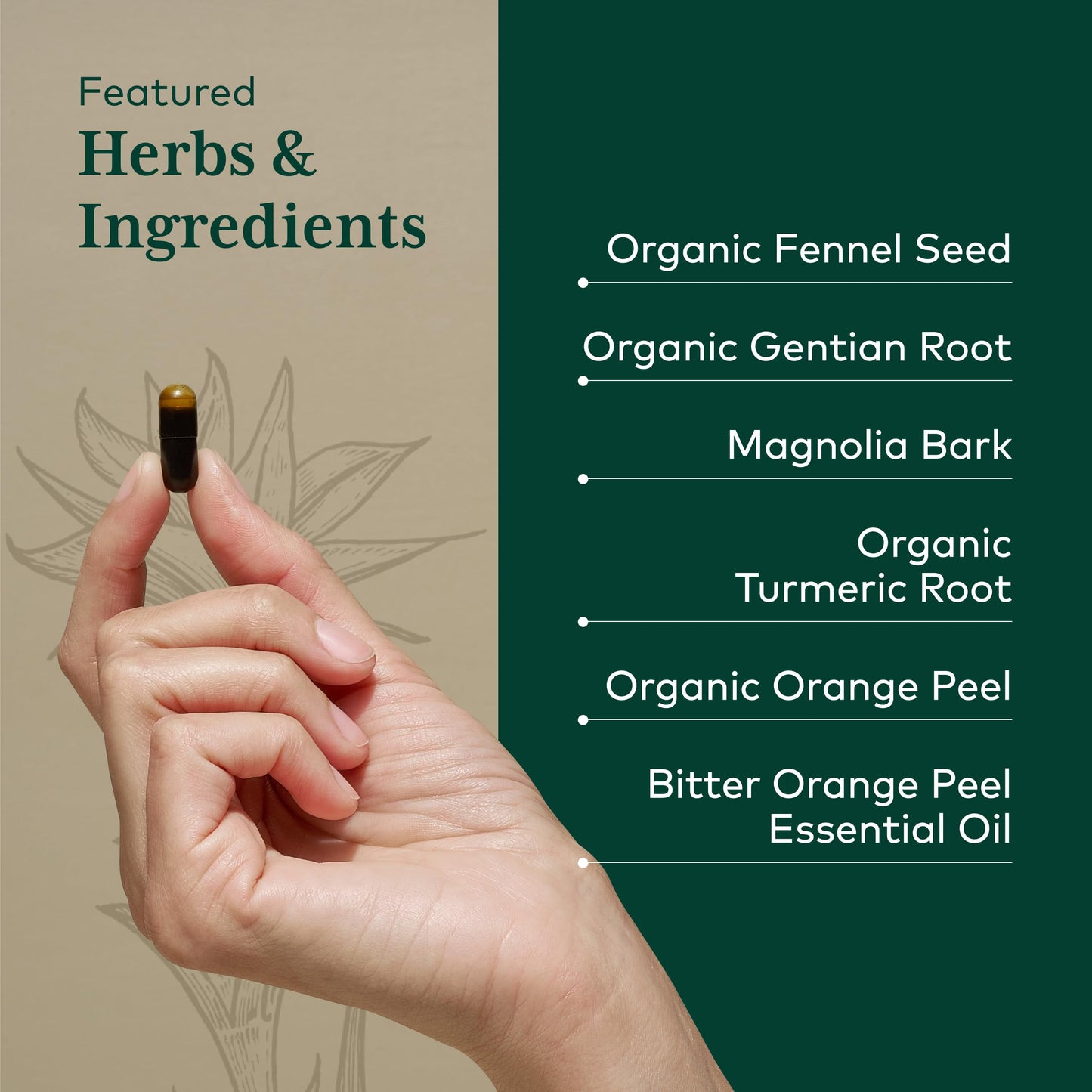 Gaia Herbs PRO MMC Restore Capsule 60 Count