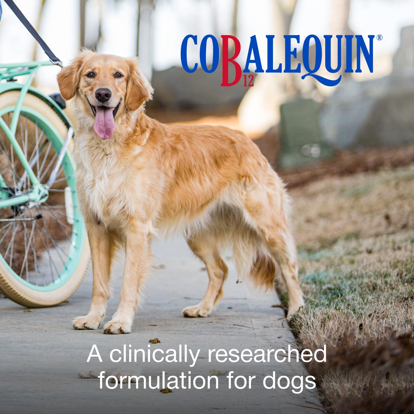 Nutramax Laboratories Cobalequin B12 for Dogs 90 Tablets