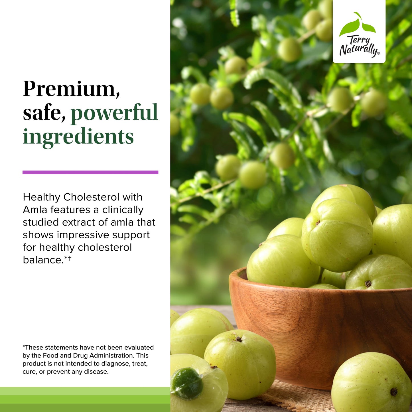 Terry Naturally Healthy Cholesterol with Amla Capsule, 60 Count
