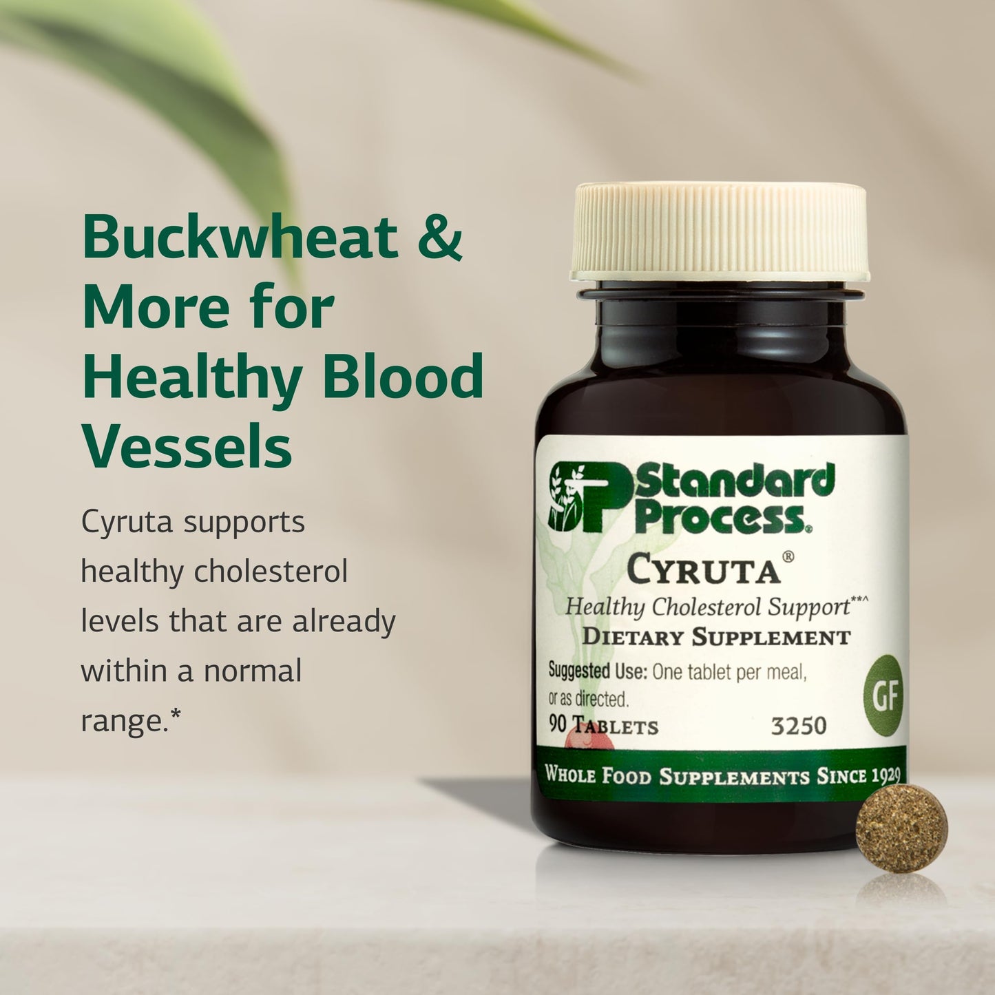 Standard Process Inc. Cyruta 90 Tablets
