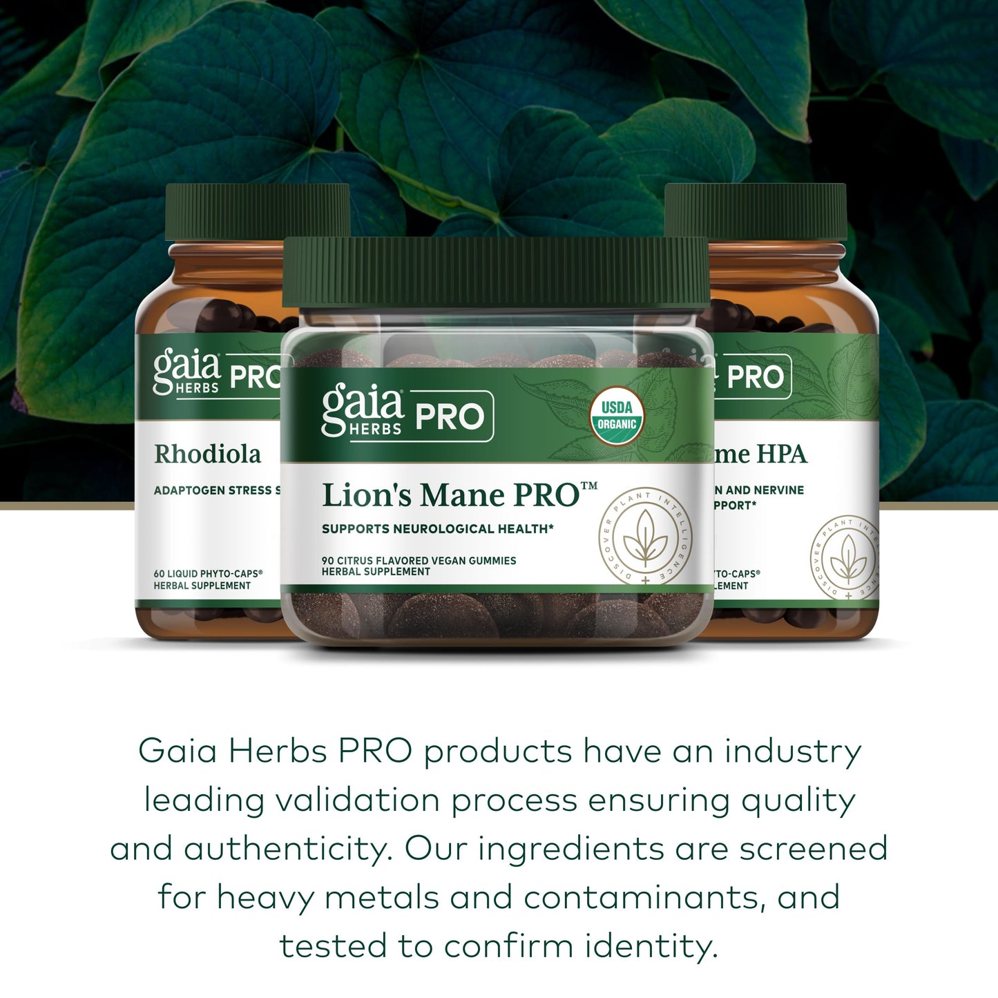 Gaia Herbs PRO Lion's Mane Gummies 90 Count