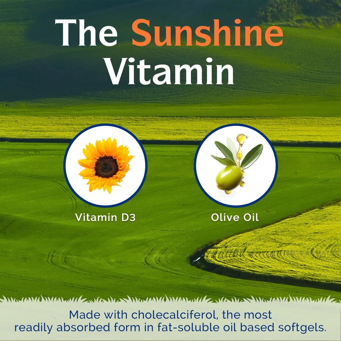 Innate Vitality Vitamin D3 5000 IU (125 mcg) 90 Softgels