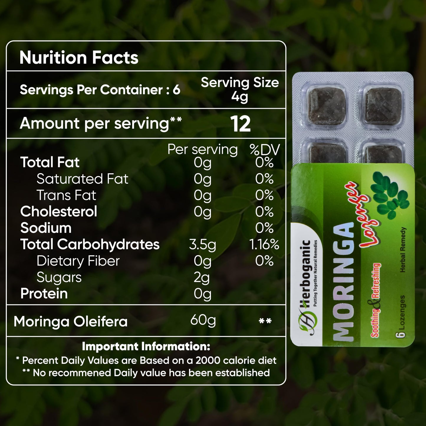 HERBOGANIC Moringa Lozenges Tablet 120