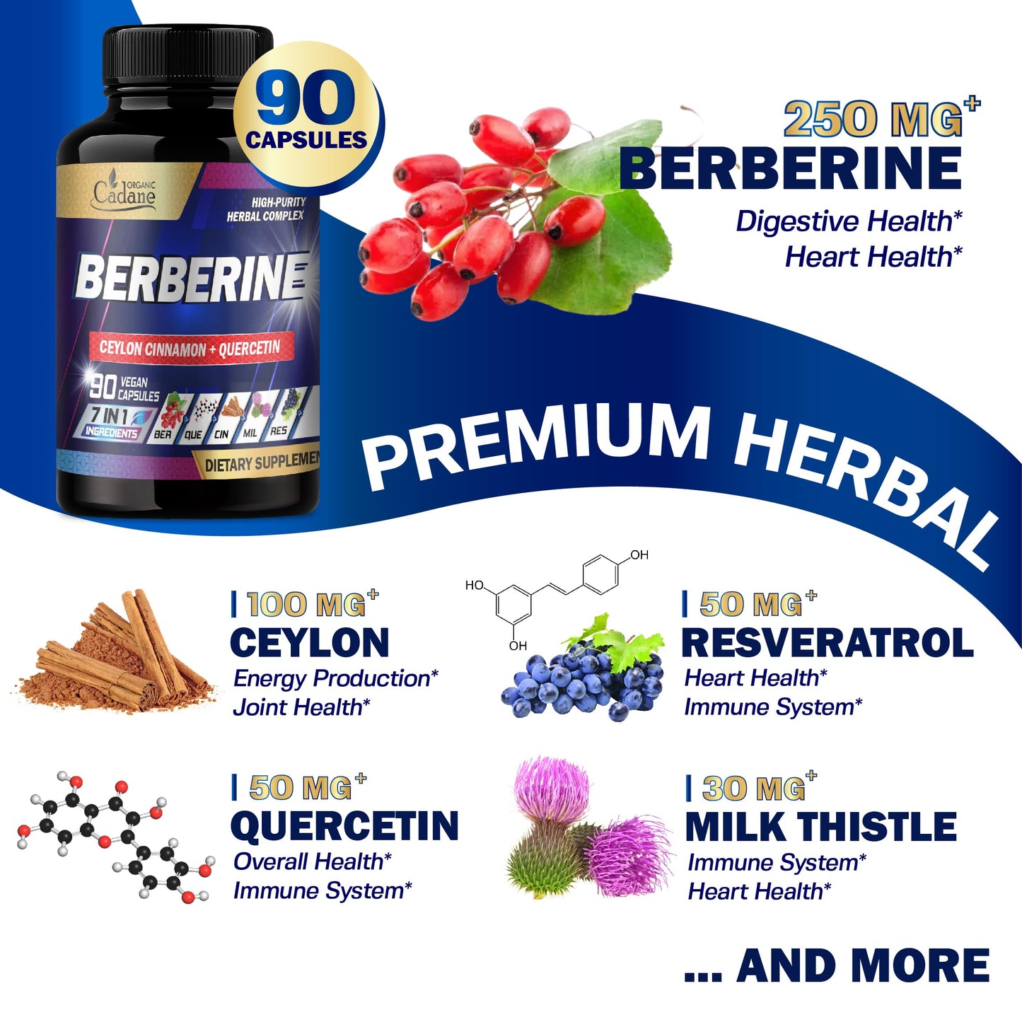 Organic Cadane Berberine Supplement Capsules, 90 Count