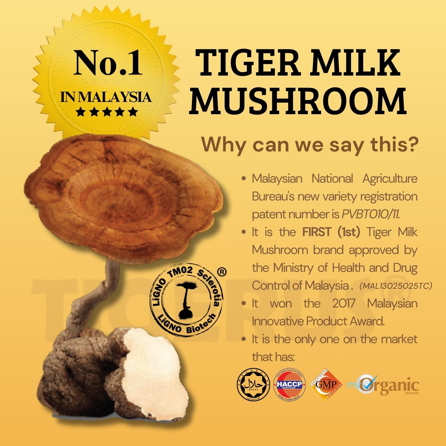 TIGERUS Holla Tiger Milk Mushroom with Passion Fruit and Inulin Powder 0.07 oz