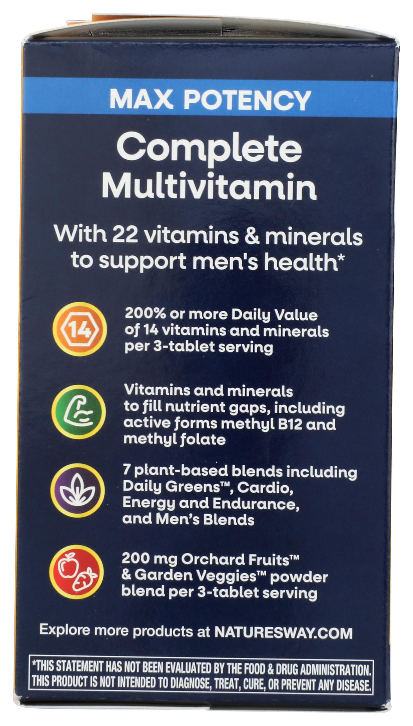 Nature's Way Multivitamin Alive Energizer Mens Tablet 90