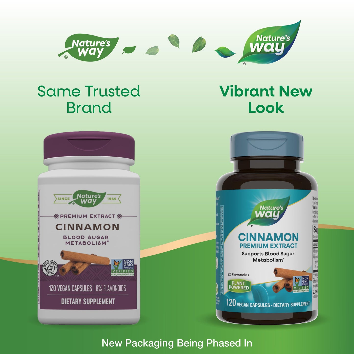 Nature's Way Cinnamon Premium Extract Capsules 240 Count