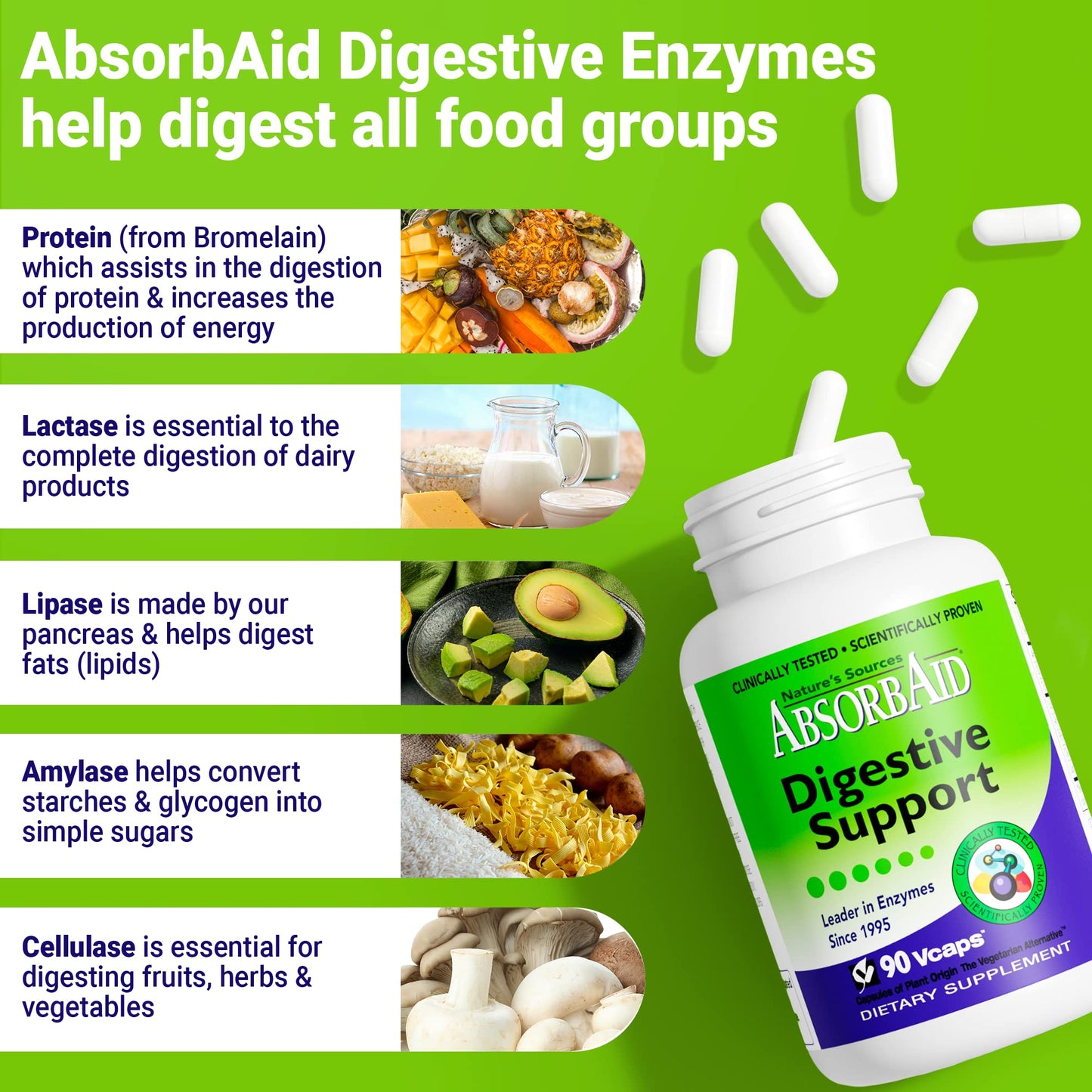 AbsorbAid Digestive Support Capsules, 90 Count