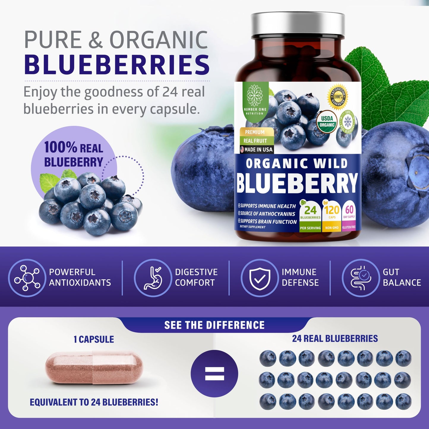Number One Nutrition Organic Wild Blueberry Extract 1000mg Brain and Immune Support, Non-GMO, 120 Capsules