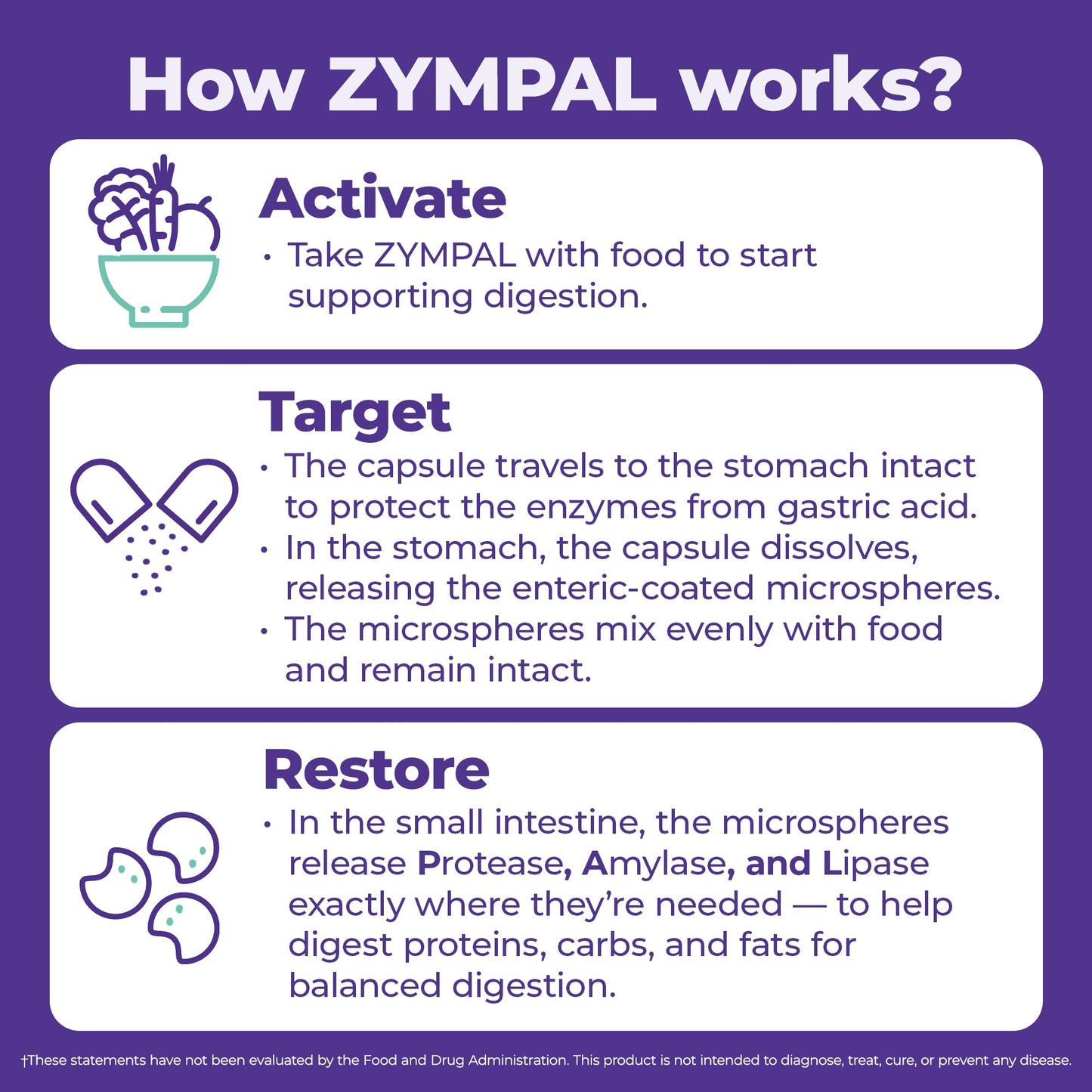 ZYMPAL Digestive Enzymes 20,000 Lipase USP Units - Digestive Health Support Capsules, 50 Capsules