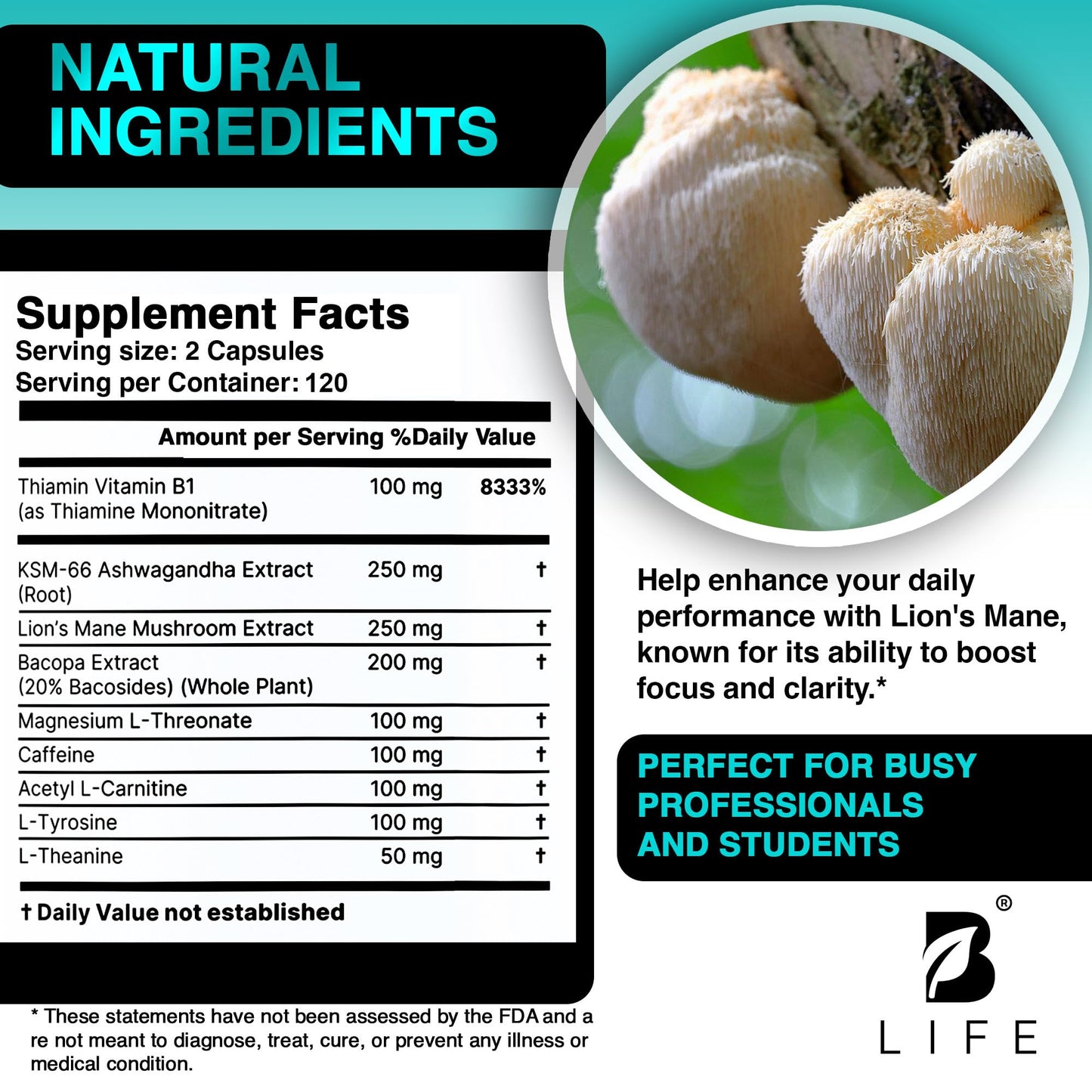B Life Company Lion’s Mane Mushroom Capsules 240 Capsules