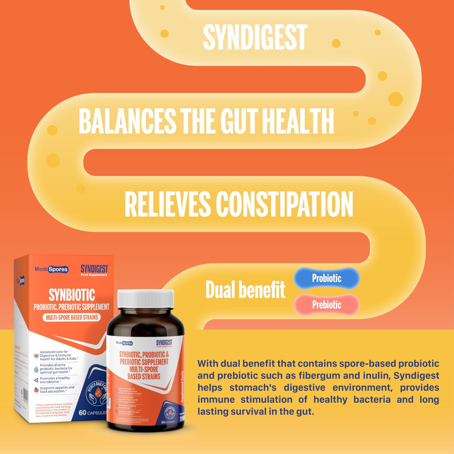 TMA Medispores Syndigest Probiotic Daily Care for Women & Men, Capsules, 60 Count
