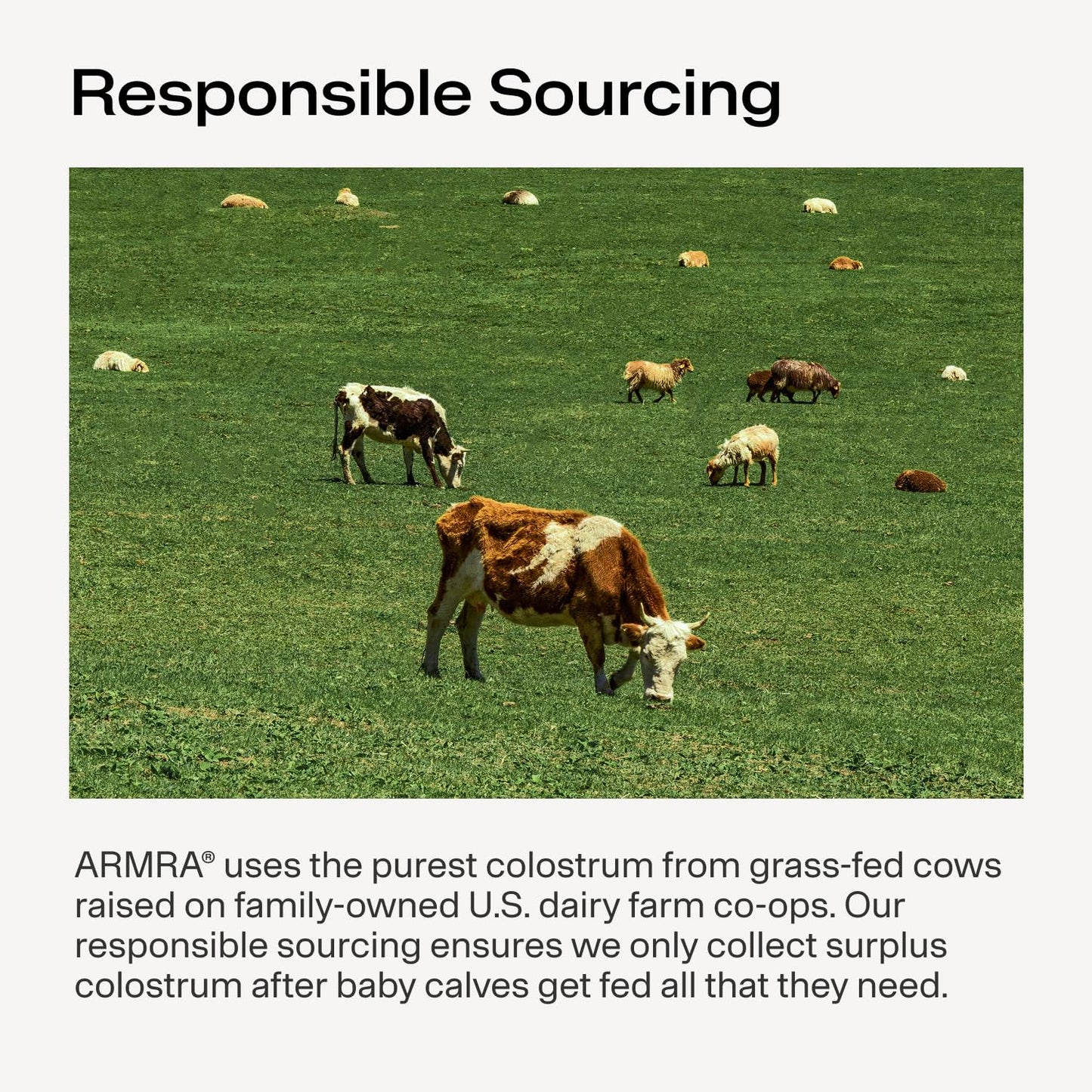ARMRA Colostrum Powder 30 Servings