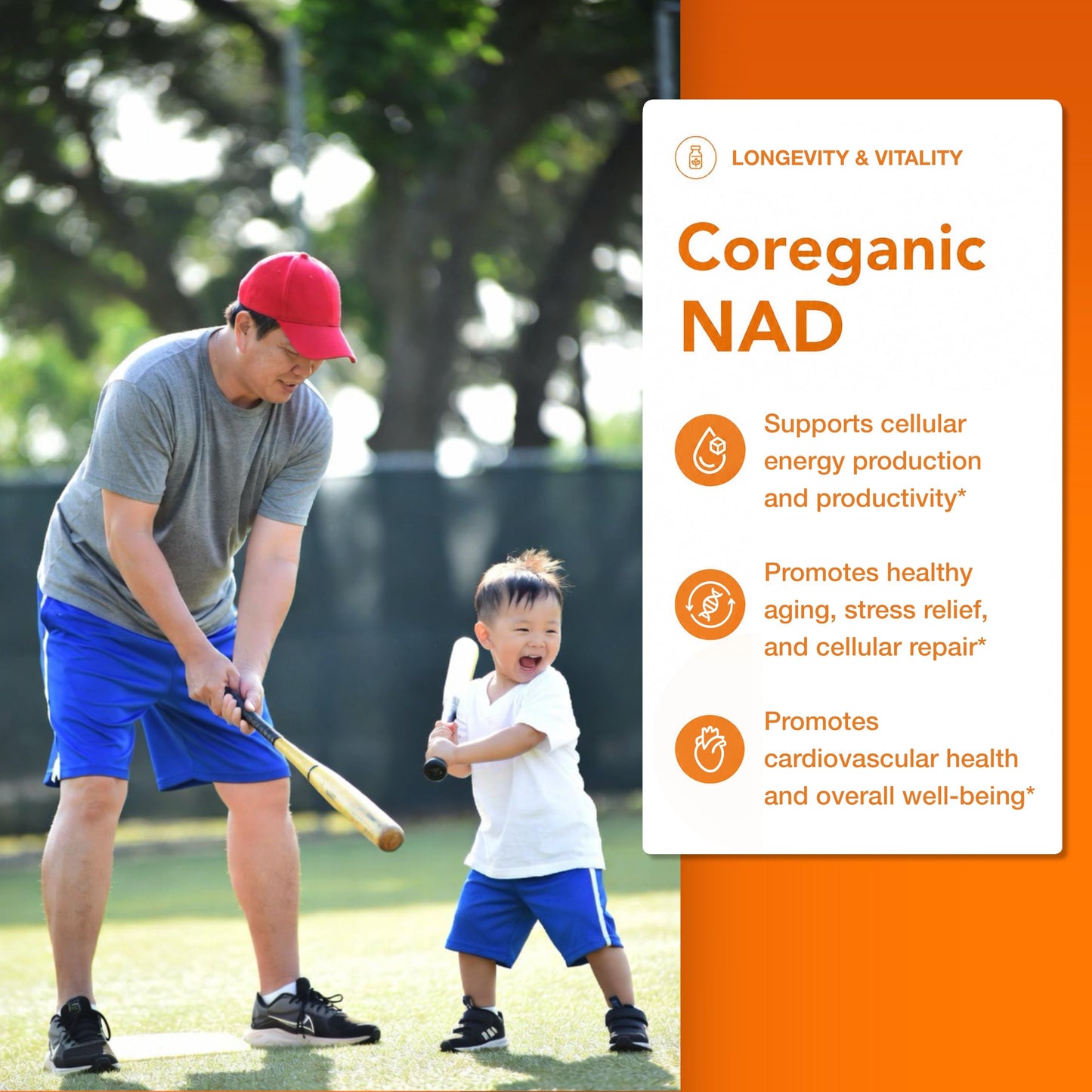 Coreganic Clean NAD+ Support – 400mg Nicotinamide Riboside (NR) with Organic Resveratrol, Ashwagandha & Beet Root – Daily Energy & Healthy Aging, 60 Vegan Capsules