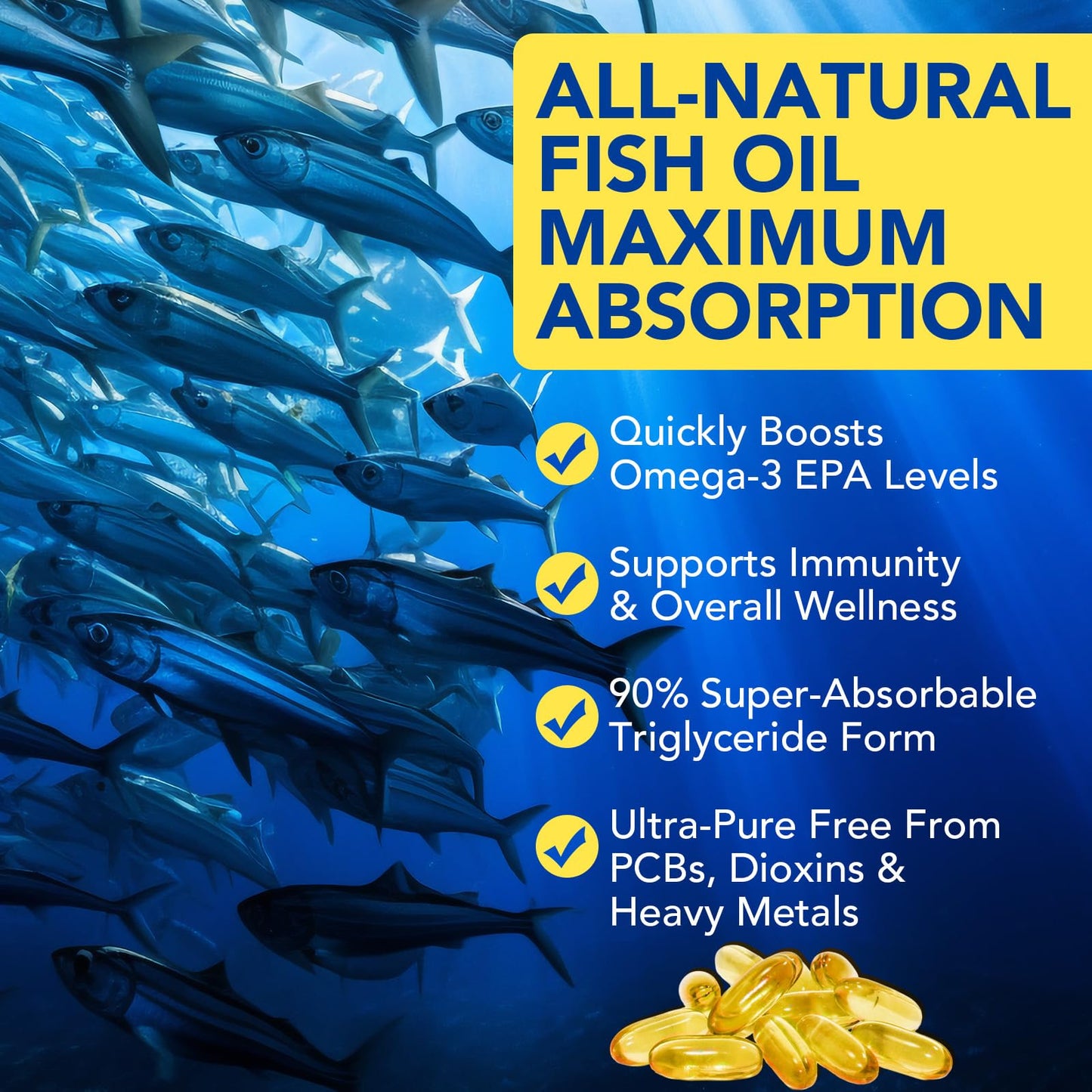 AEBEFBAW Omega 3 Fish Oil Softgel 240 Count