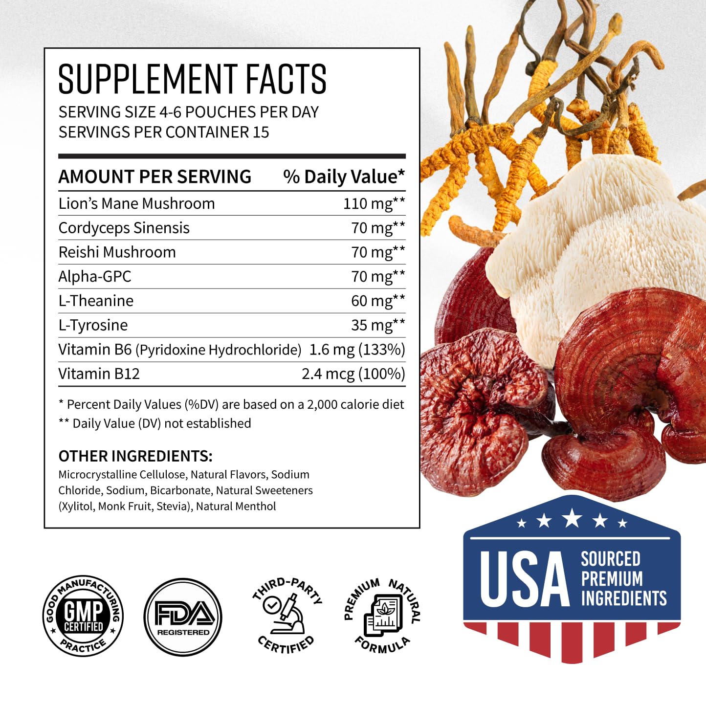 GGGJ Adaptogen Mushroom Nootropic Pouches Chewable 60 Count