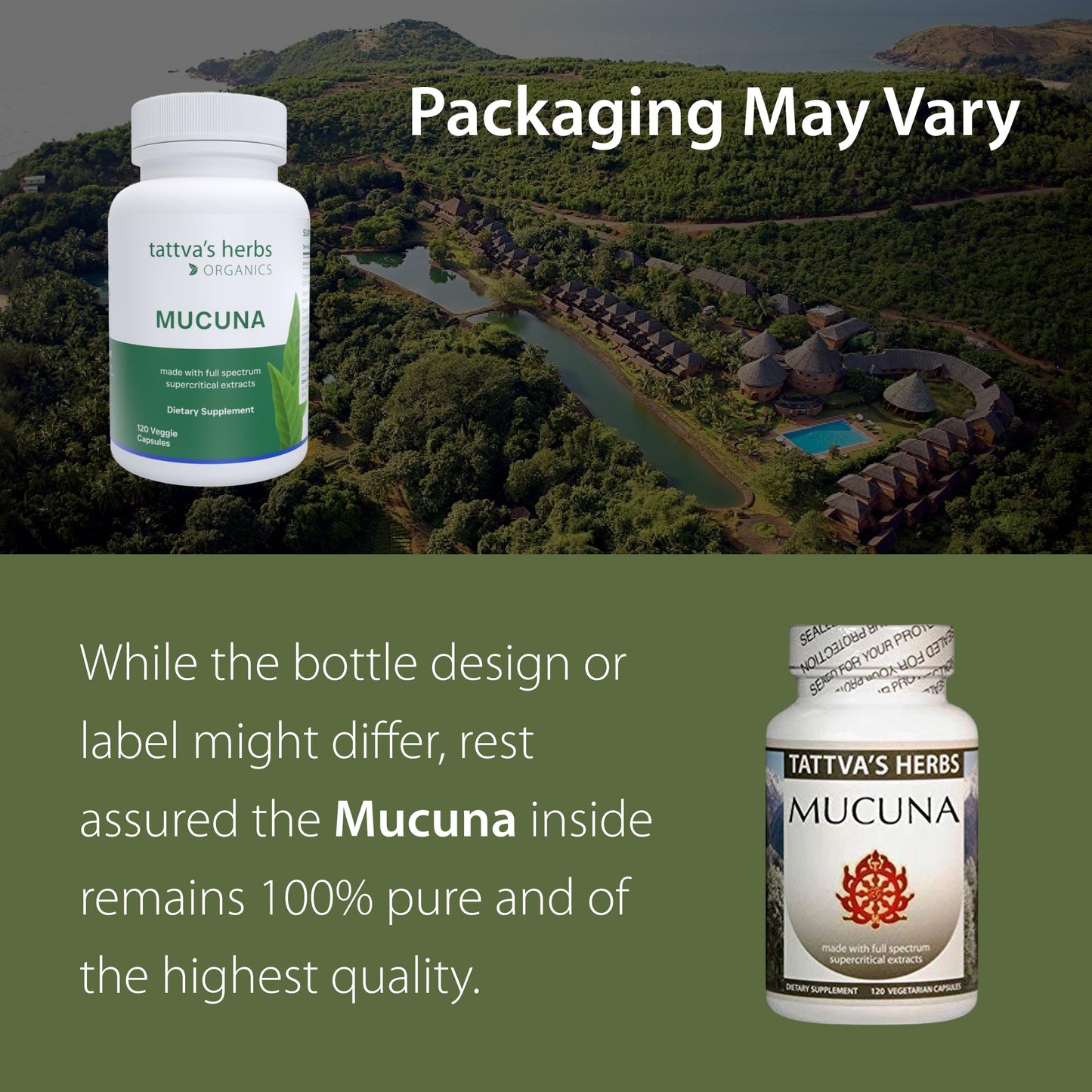 Tattva's Herbs Organic Mucuna Pruriens – Natural L-Dopa, Dopamine Support, Vegan & Gluten-Free, 240 Capsules (2-Pack)