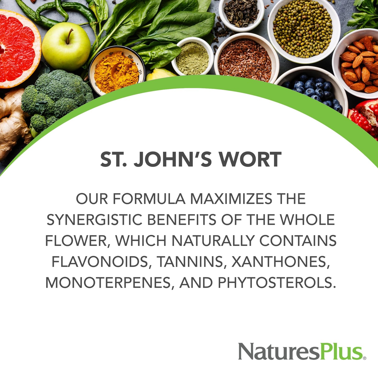 NaturesPlus Herbal Actives St John's Wort Extended Release 60 Tablets