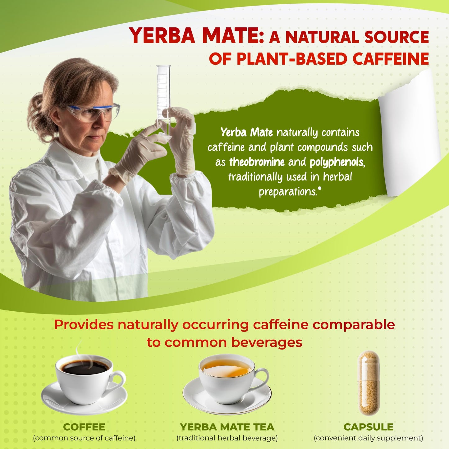 PEAKPURY Ultra All-in-1 Yerba Mate, L-Theanine, Rhodiola & Panax Ginseng - Supports Mental Focus & Natural Energy, 150 Capsules