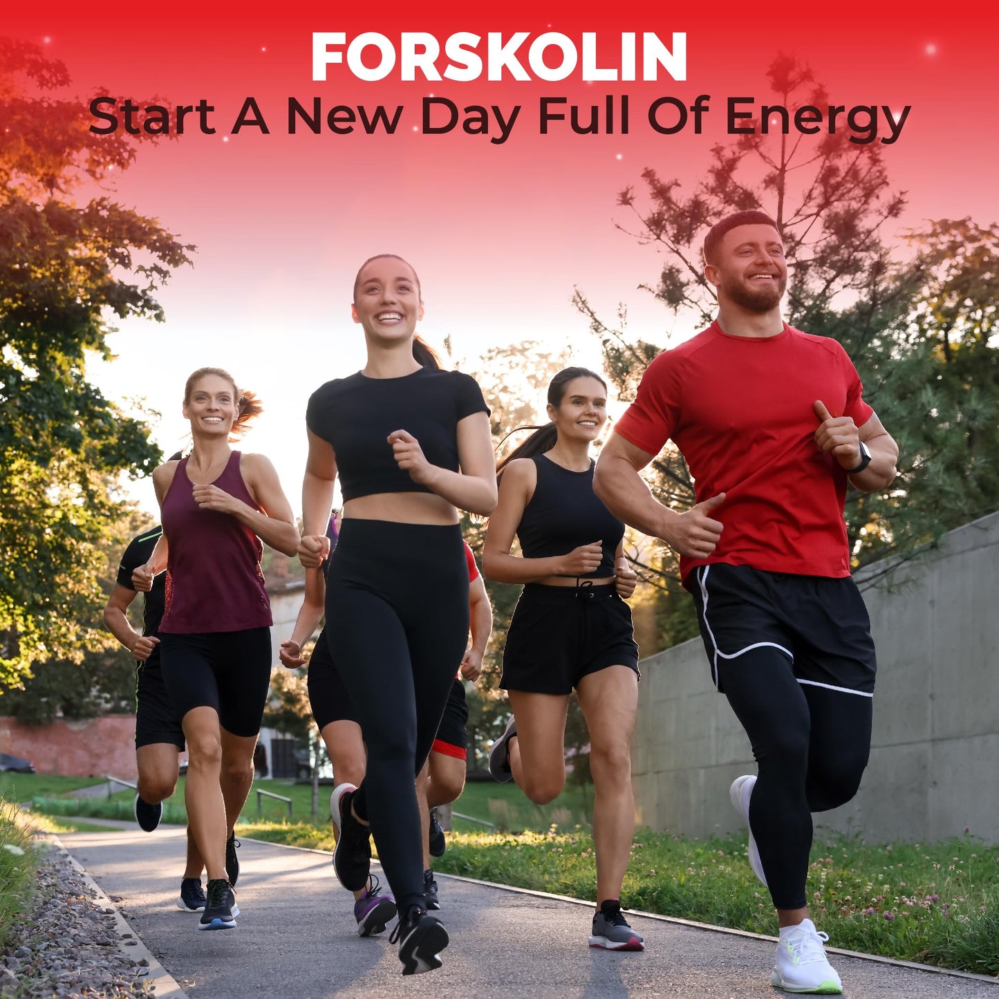 Organic Cadane Forskolin Supplement, 120 Capsules