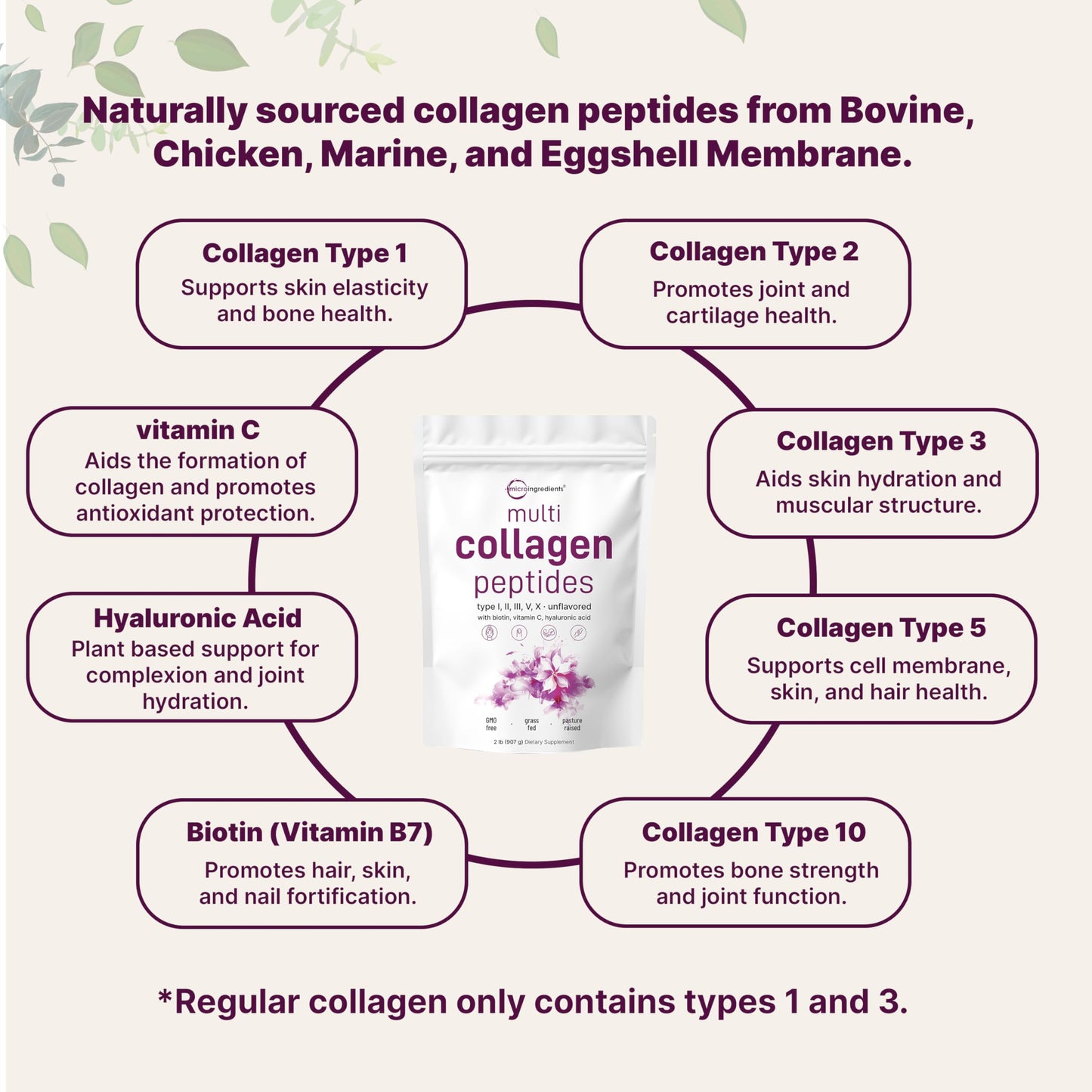 Micro Ingredients Multi Collagen Peptides Powder, 32 Count