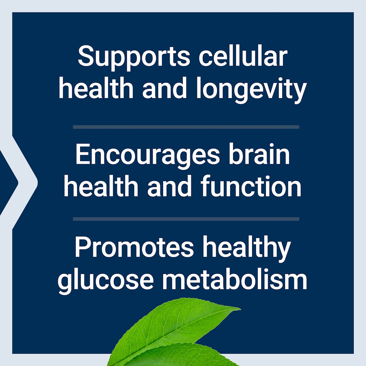 Life Extension Essential Youth L-Ergothioneine and Bio-Fisetin Cellular Health Capsules, 60 Count
