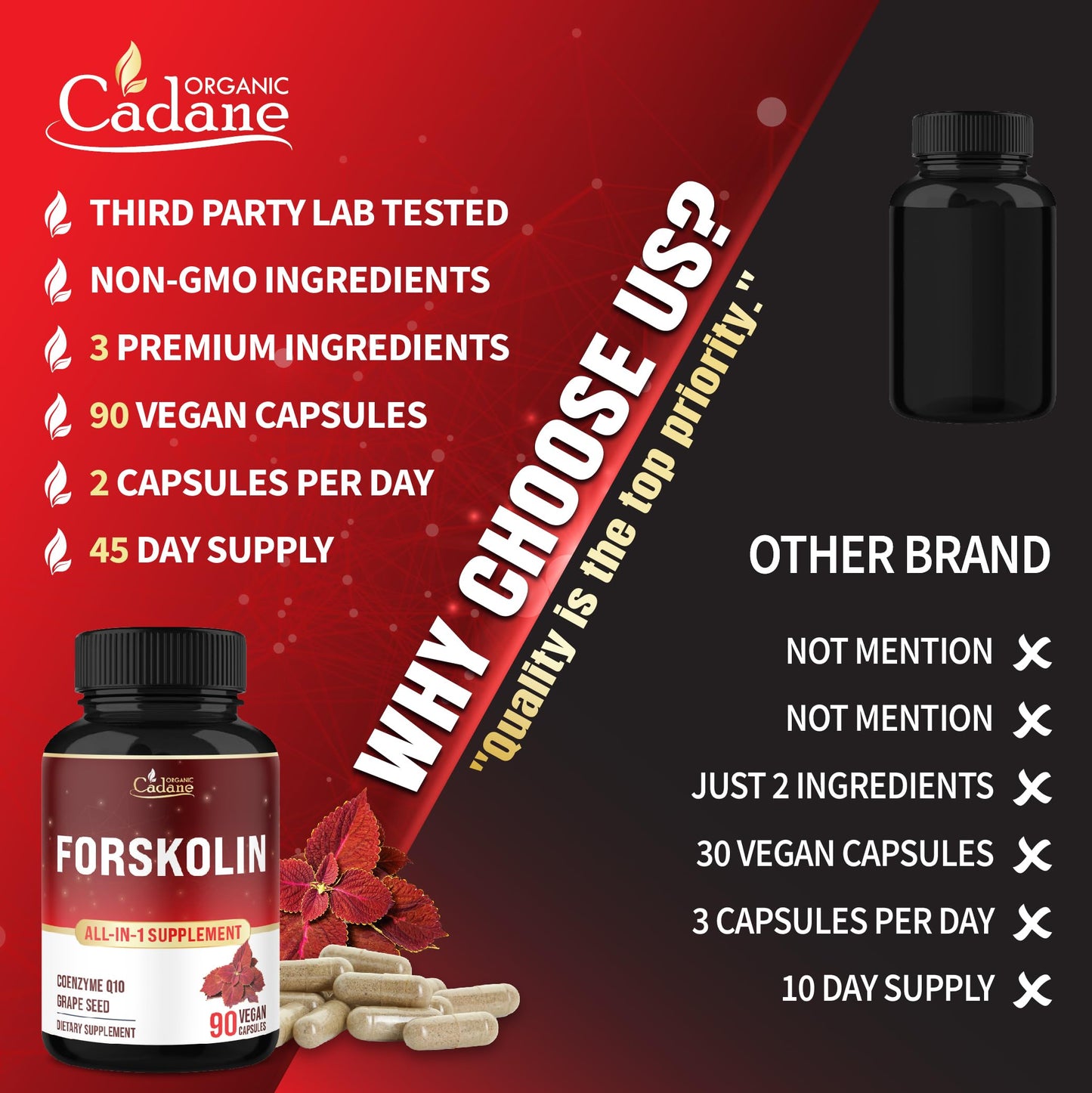 Organic Cadane Forskolin Supplement with Coenzyme Q10 & Grape Seed Extract 90 Capsules