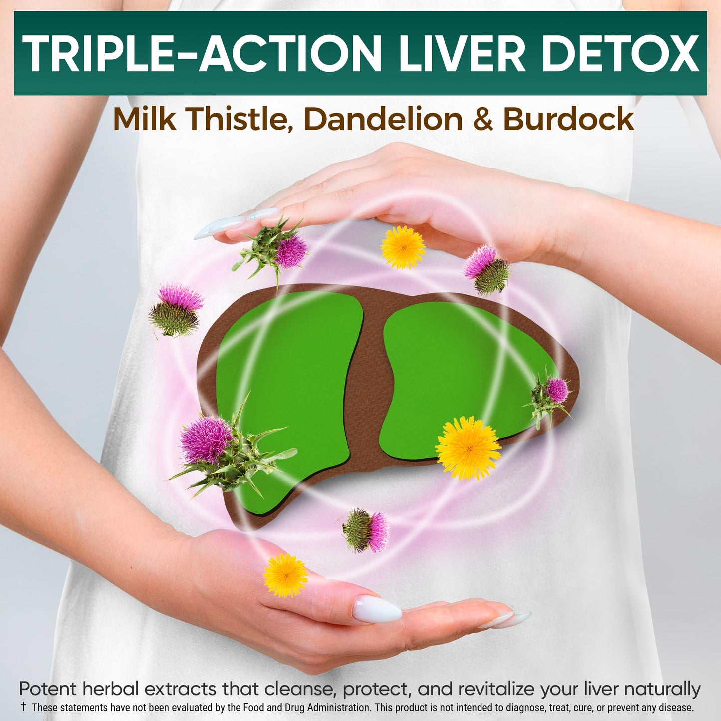 VEYNE Milk Thistle Supplement 80% Silymarin (240mg Active) with Dandelion Root Extract 10:1 & Burdock Root 20:1 – Liver Support – Capsules, 60 Capsules
