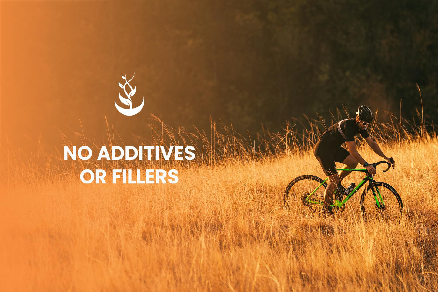 Pure Original Ingredients Ashwagandha Capsules 365