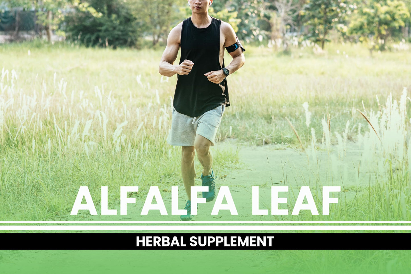 Pure Original Ingredients Alfalfa Leaf Capsules 730