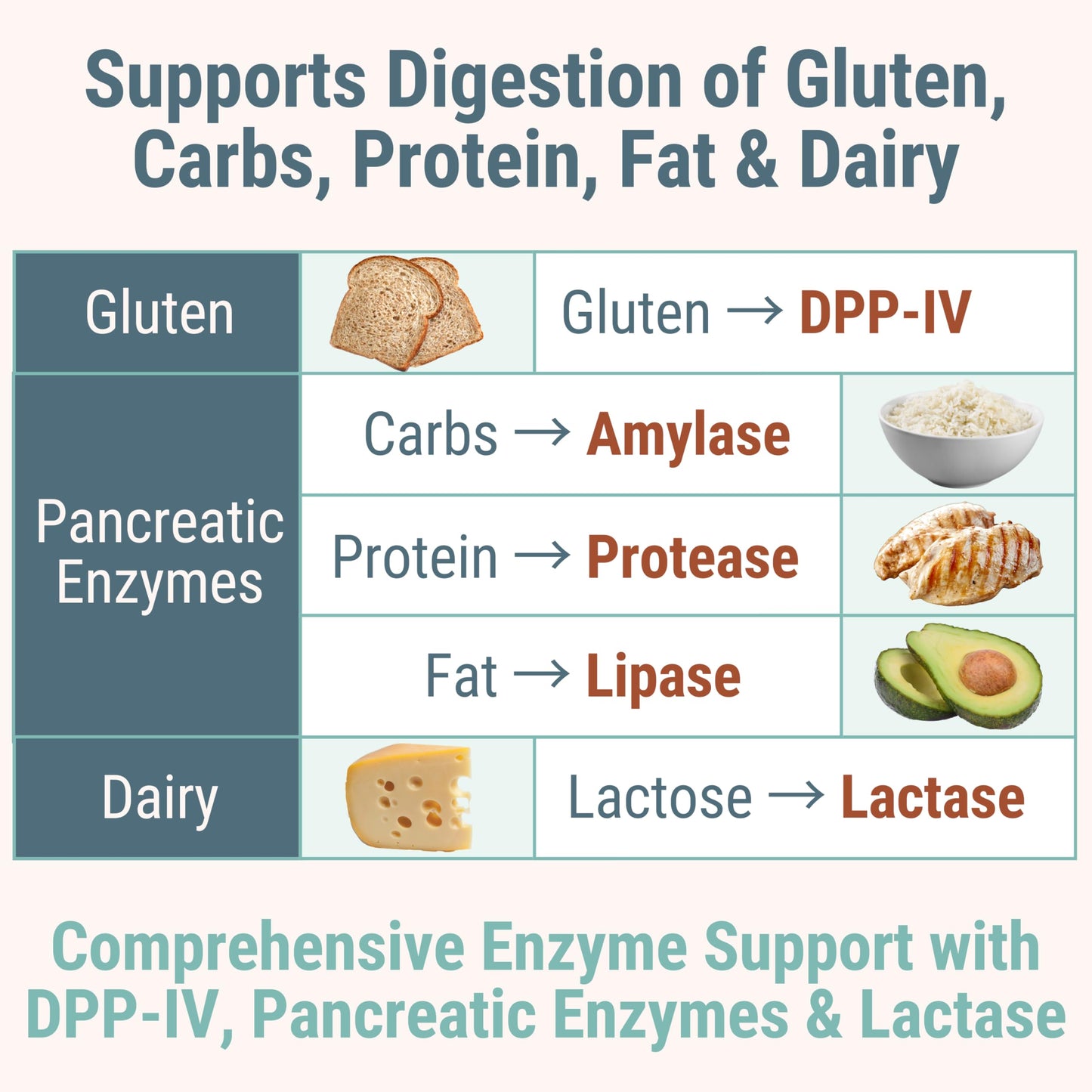 SHIZAM Gluten & Lactase Digestive Enzyme Gummies with DPP-IV, Lipase, Gluco-Amylase, Lactase for Kids, 60 Gummies