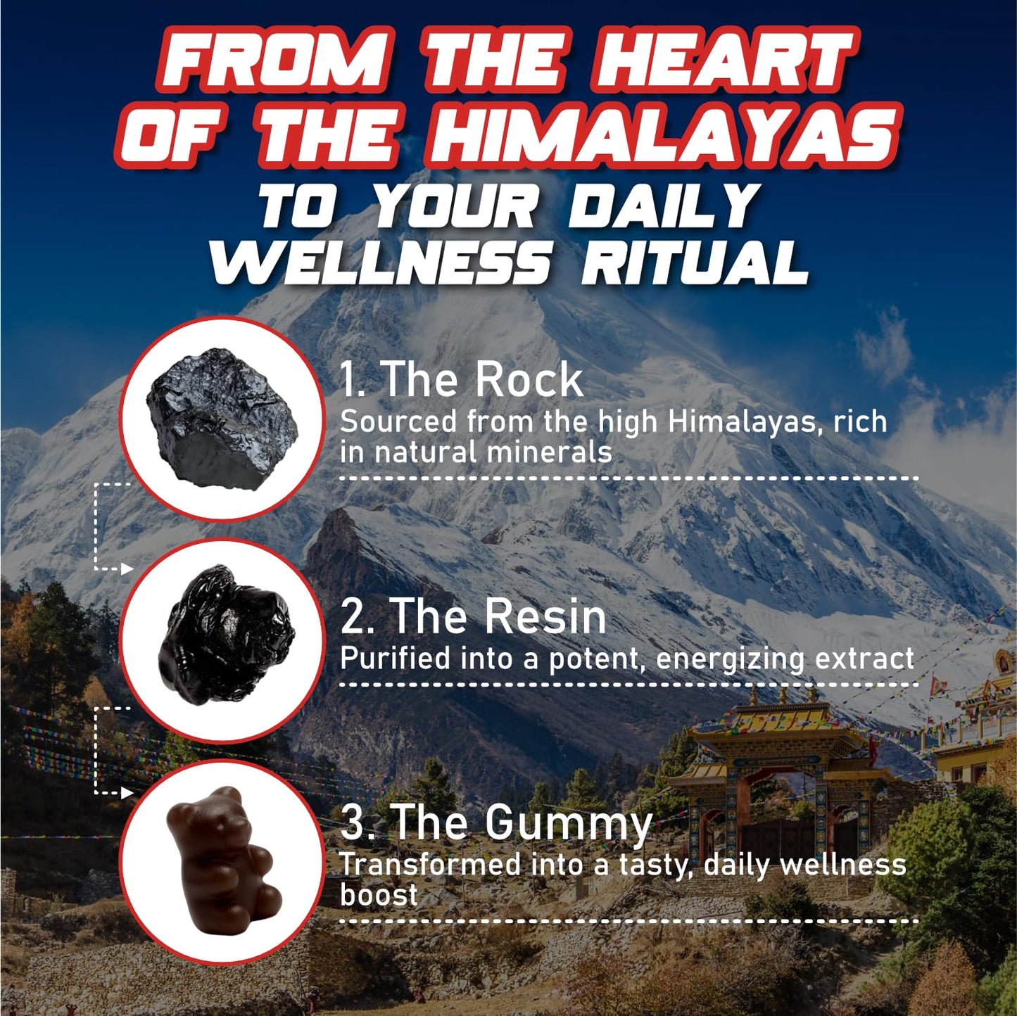 Novure Himalayan Shilajit Gummies 60 Count