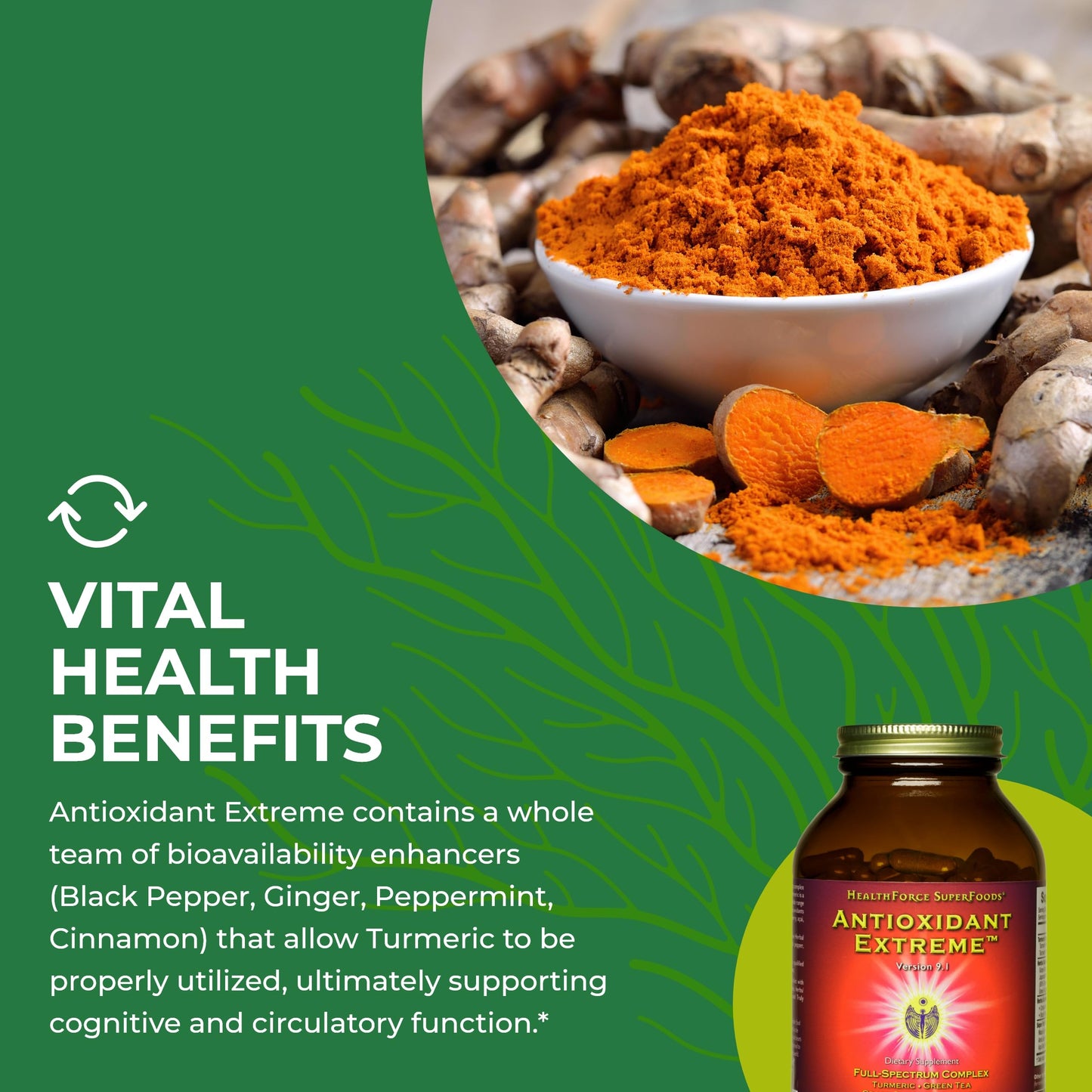 HEALTHFORCE SUPERFOODS Antioxidant Extreme 360 Capsules