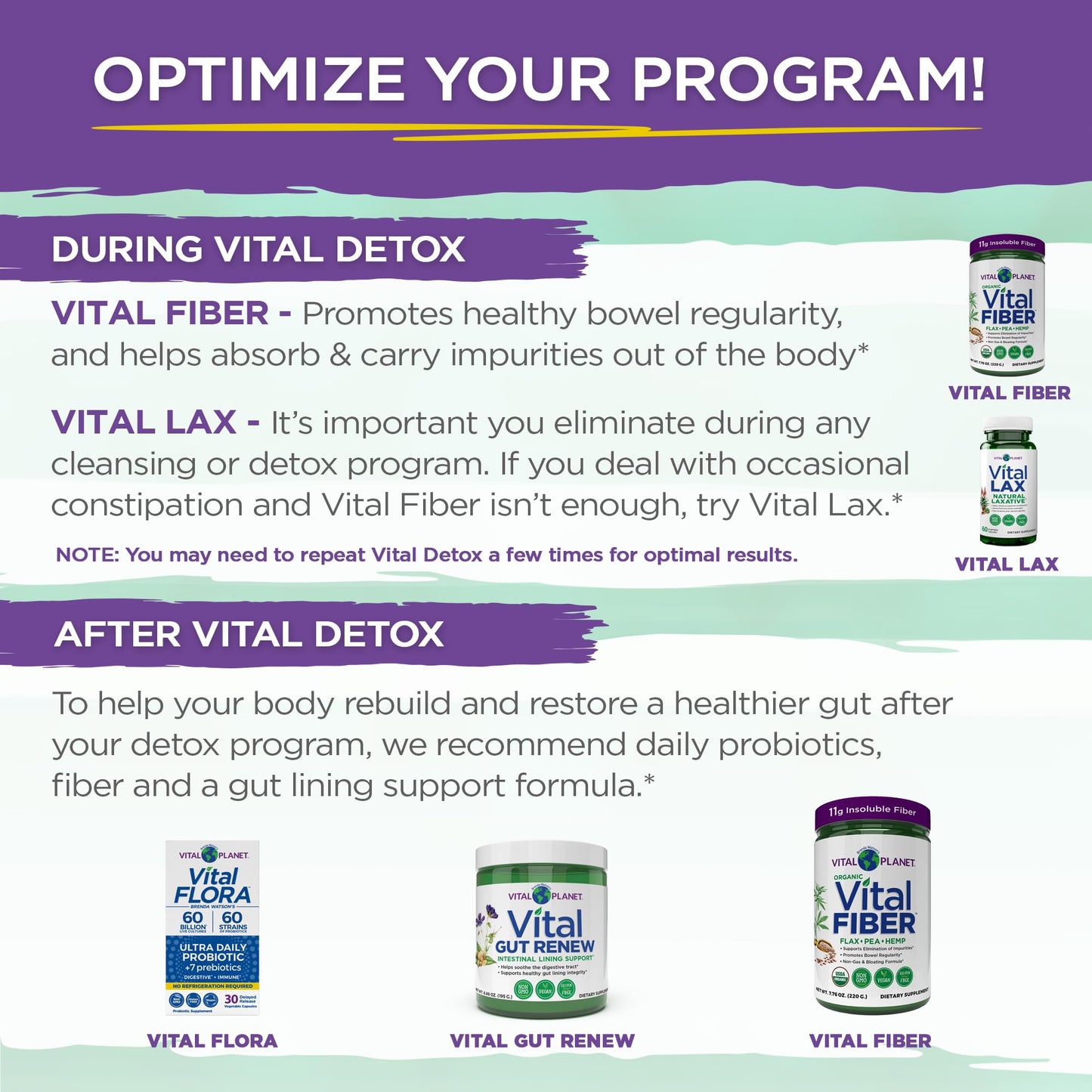Vital Planet Vital Detox with Milk Thistle, Quercetin, Alpha Lipoic Acid, Choline, and Herbs Capsules, 56 Count