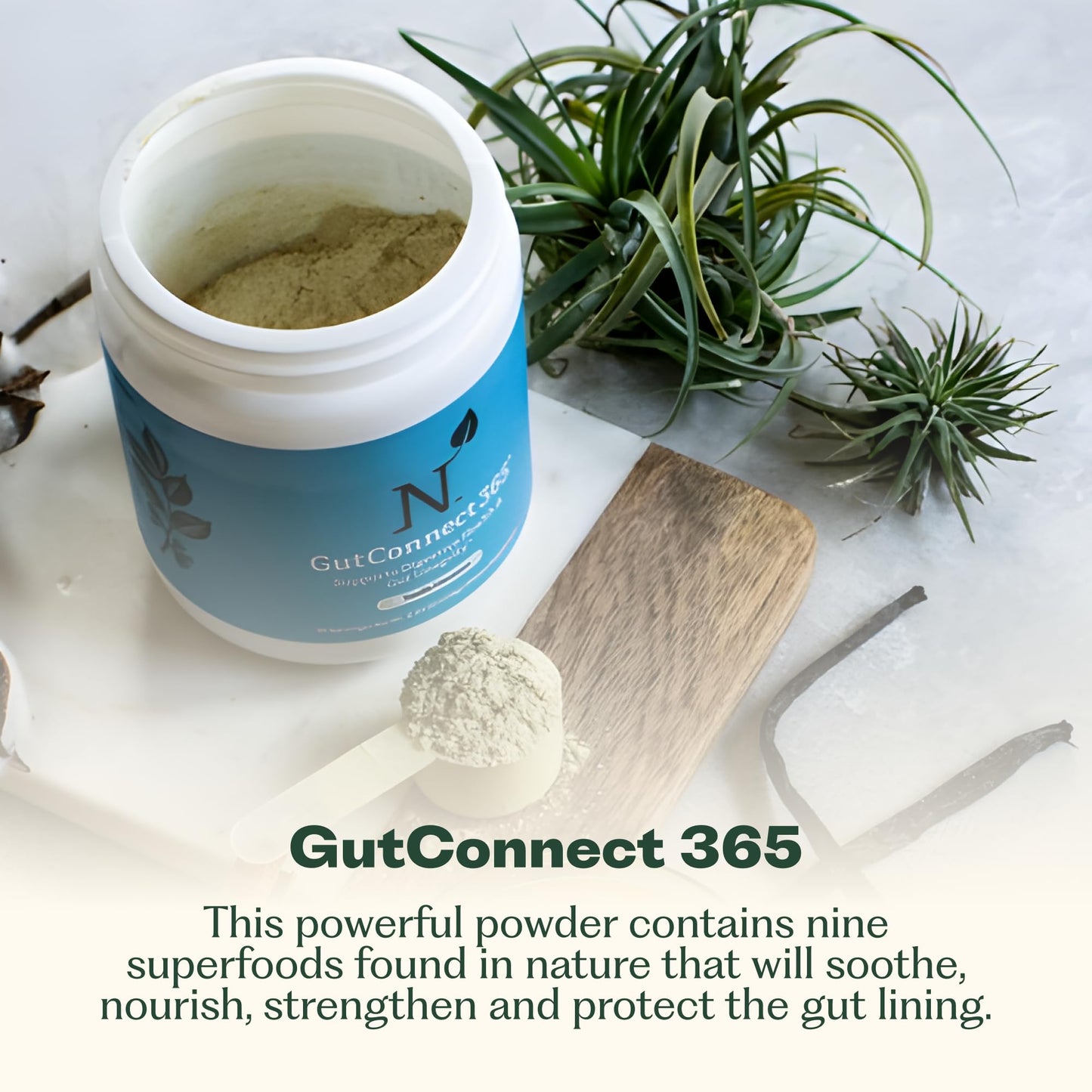 Nature M.D. GutConnect 365 – Chocolate Coconut Powder 8.5 Ounce