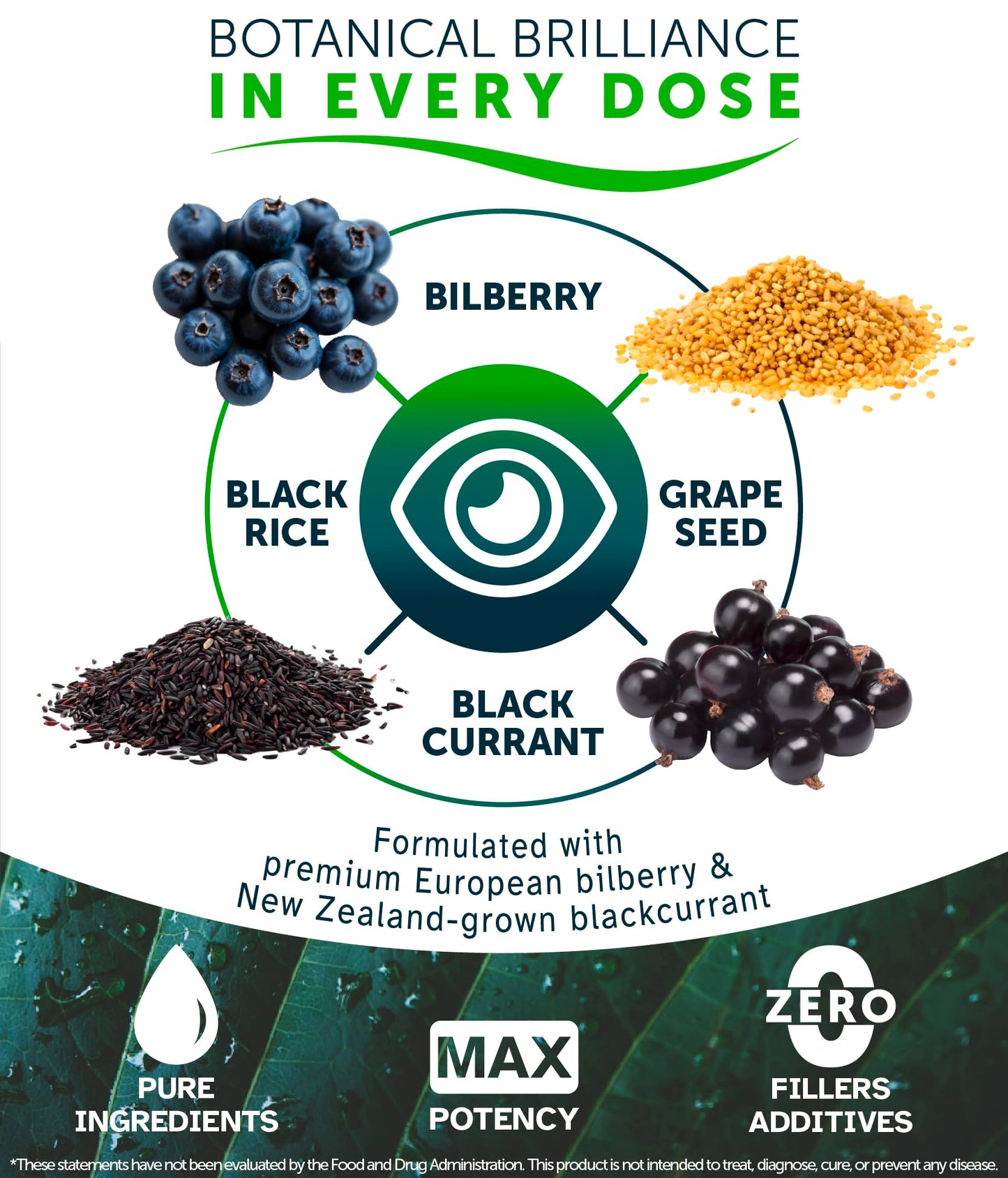 Awakened.energy OcuBerry Bilberry, Grape Seed, Black Currant & Black Rice Extracts Capsules, 60 Count