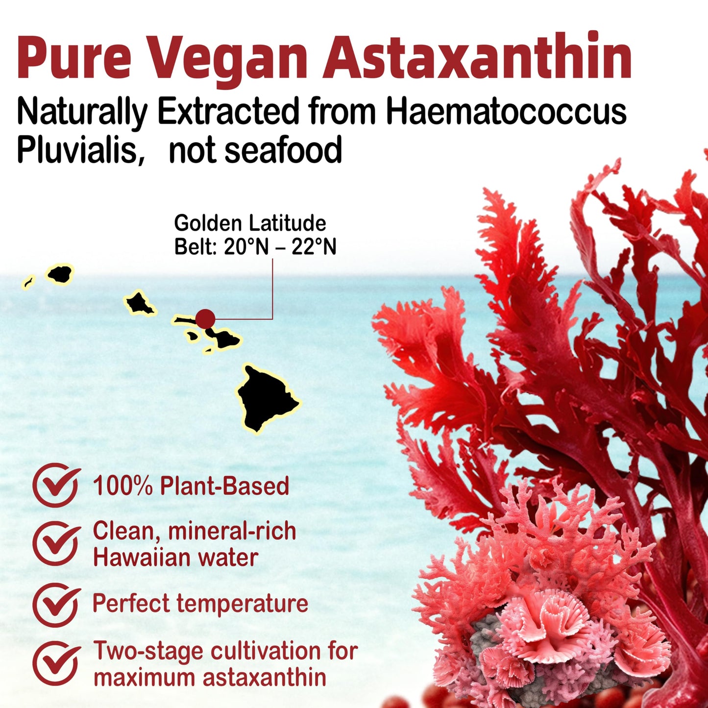 SUGAWITA Astaxanthin 12mg 24mg Gummies, 60 Count