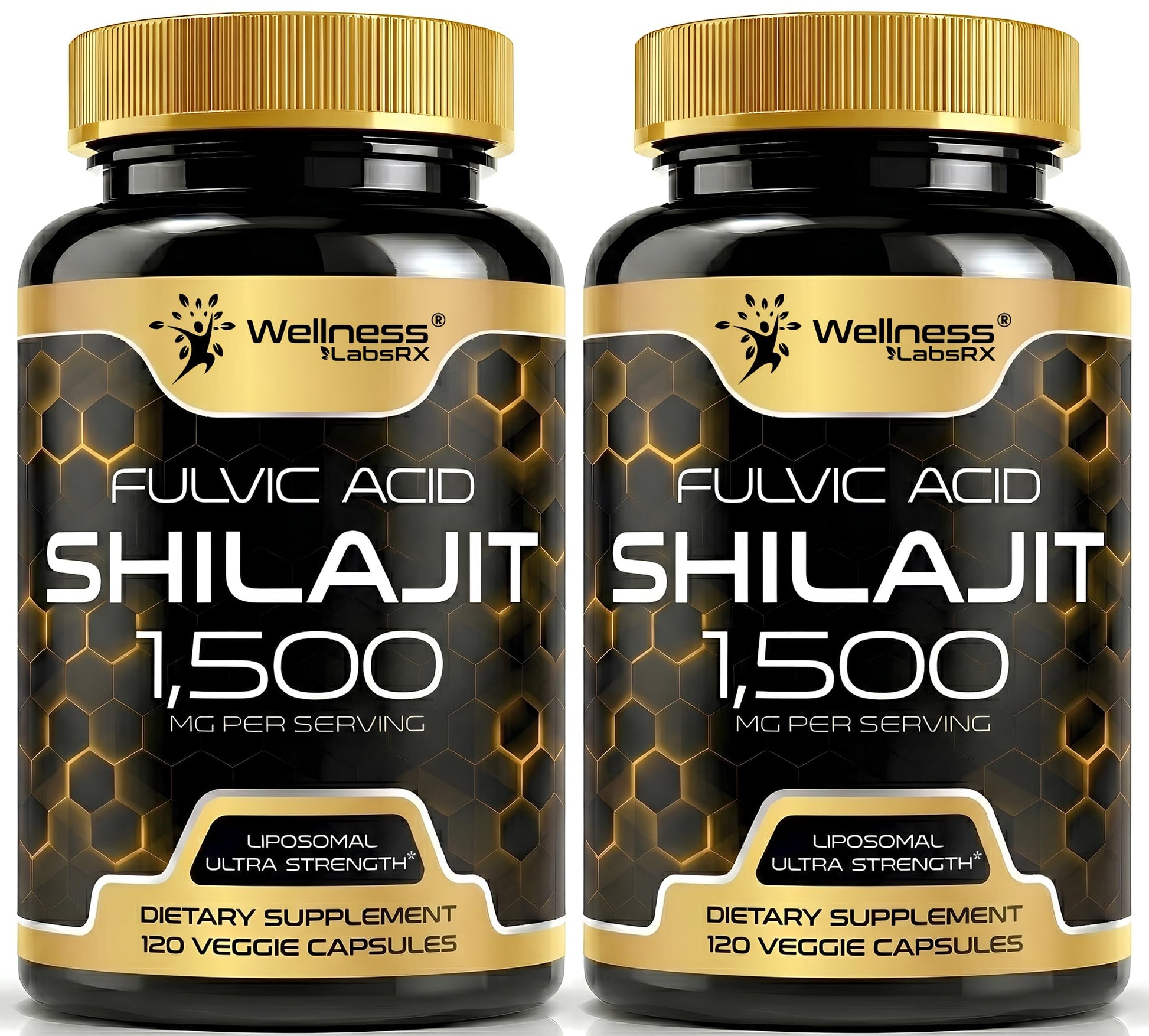 WELLNESS LABSRX Himalayan Shilajit Capsules for Men and Women, 1500mg per Serving with Fulvic Acid, Enhanced Energy and Immune Support, 240 Capsules