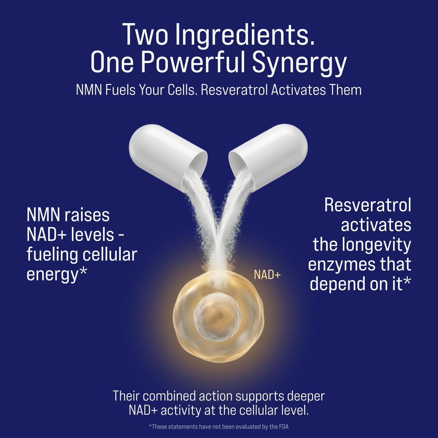 Rivium NMN & Resveratrol Supplement – NAD+ Support Capsule, 60 Count