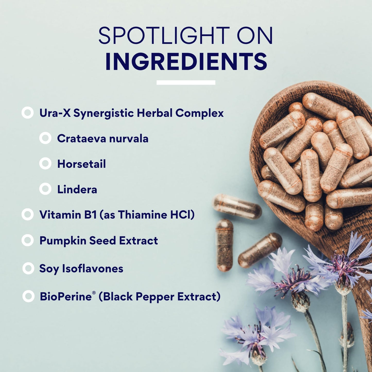 Research Verified Bladder Control - Leakage & Urgency - Pumpkin Seed, Soy Isoflavones, Thiamine 360 Vegan Capsules