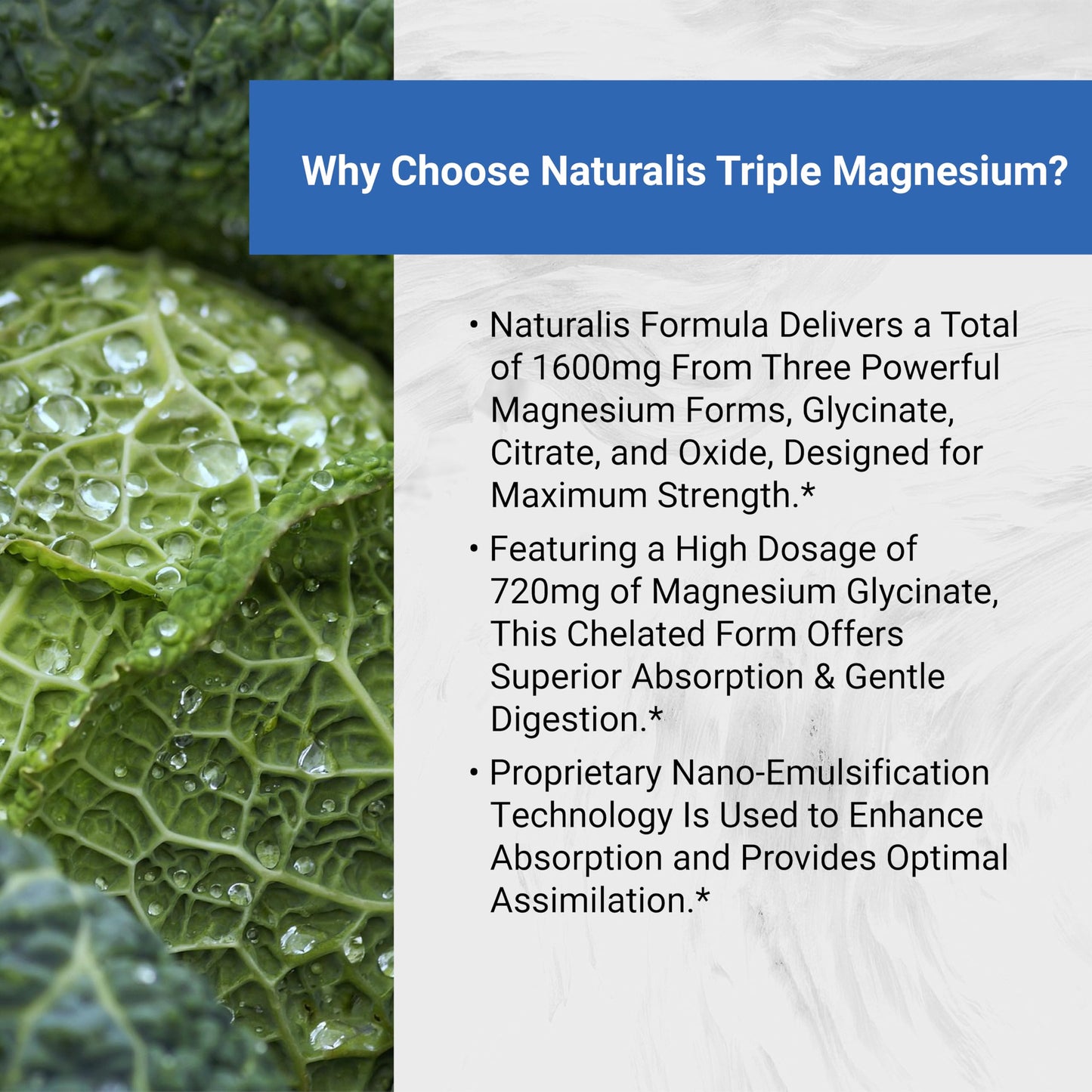 Naturalis Vegan Triple Magnesium Complex Softgels 120