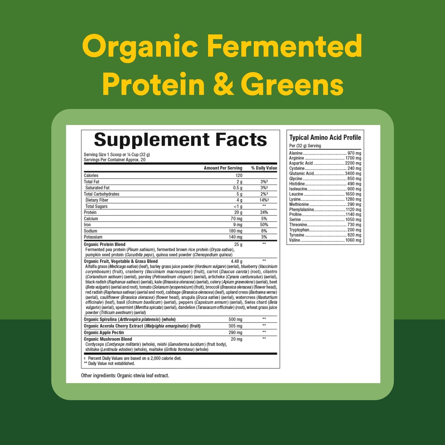 Natural Factors Whole Earth & Sea Organic Protein & Greens Plant-Based Protein for Healthy Energy Support Antioxidant Support Powder Unflavored 640 g