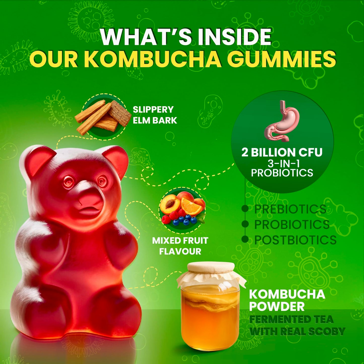 BLIVA NUTRITION Probiotic Kombucha Gummies, 60 Gummies