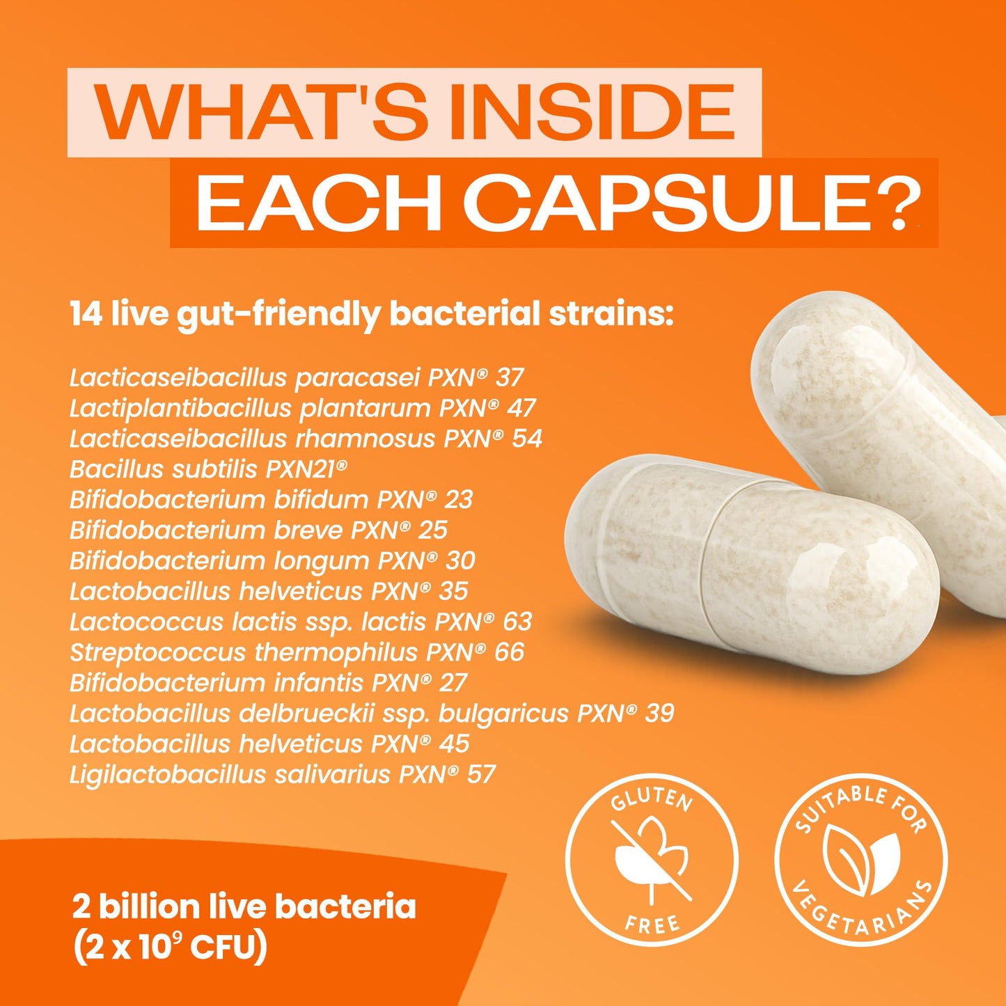 Bio-Kult Everyday Probiotics 120 Capsules